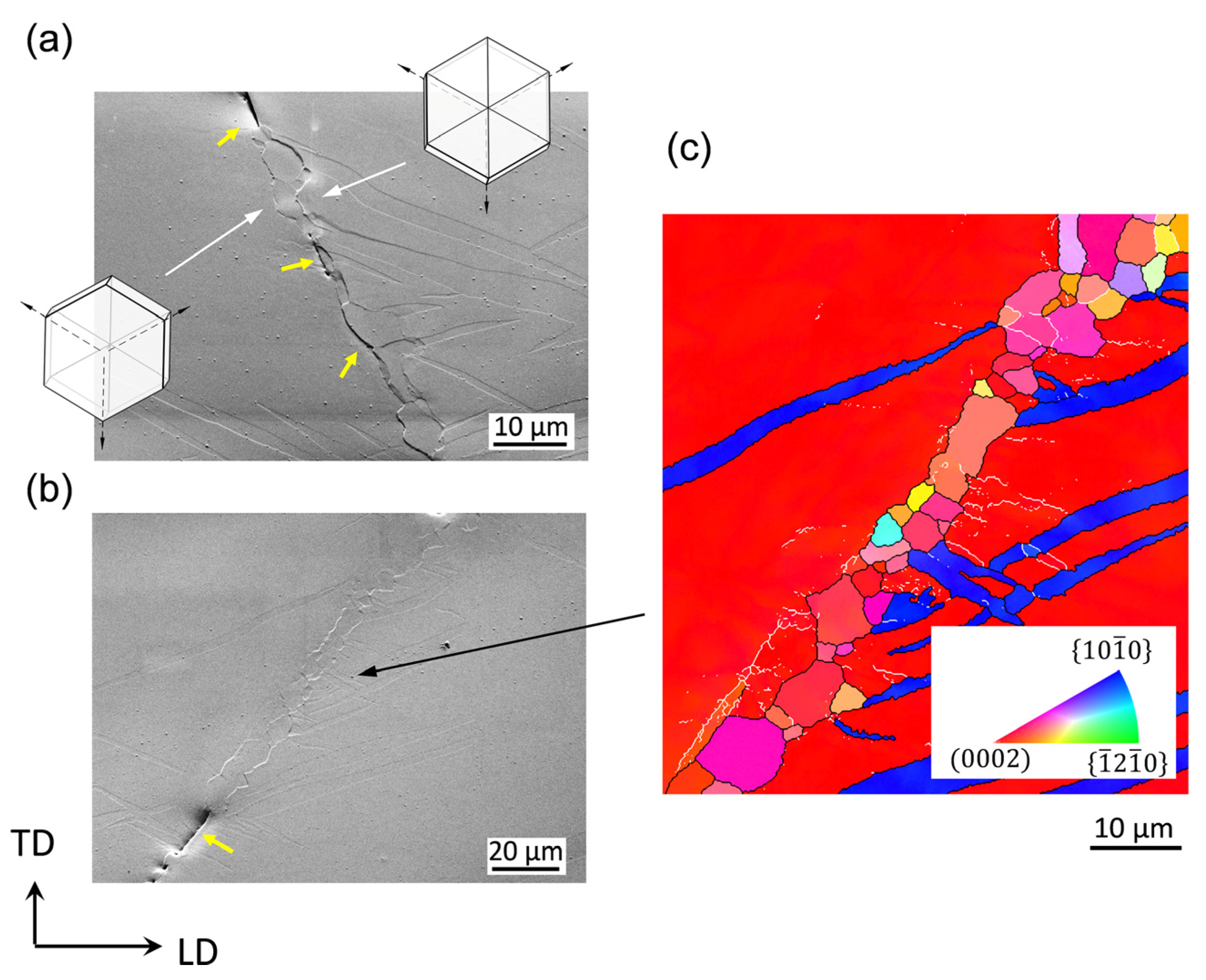 Metals 13 00640 g008