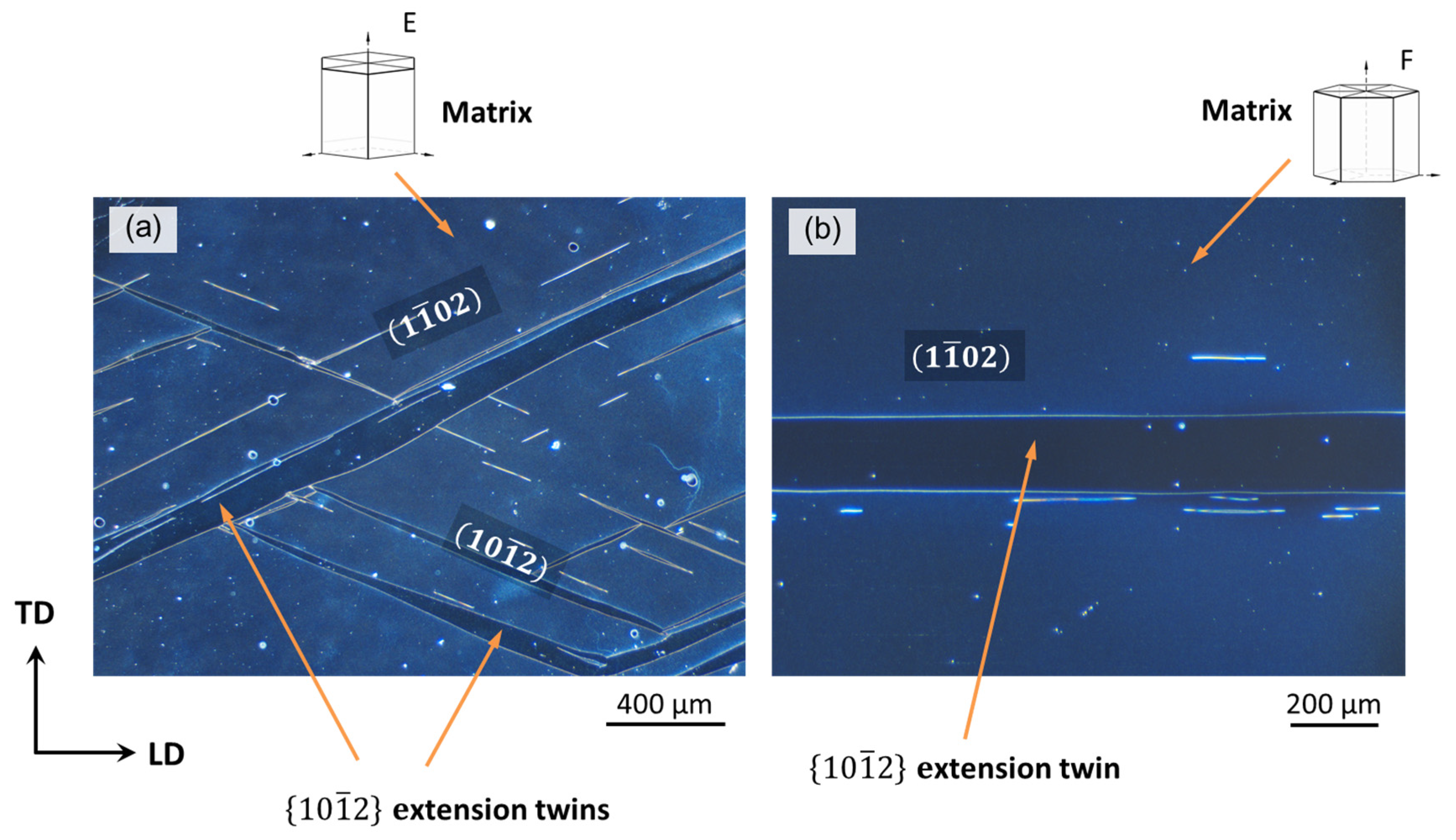 Metals 13 00640 g015