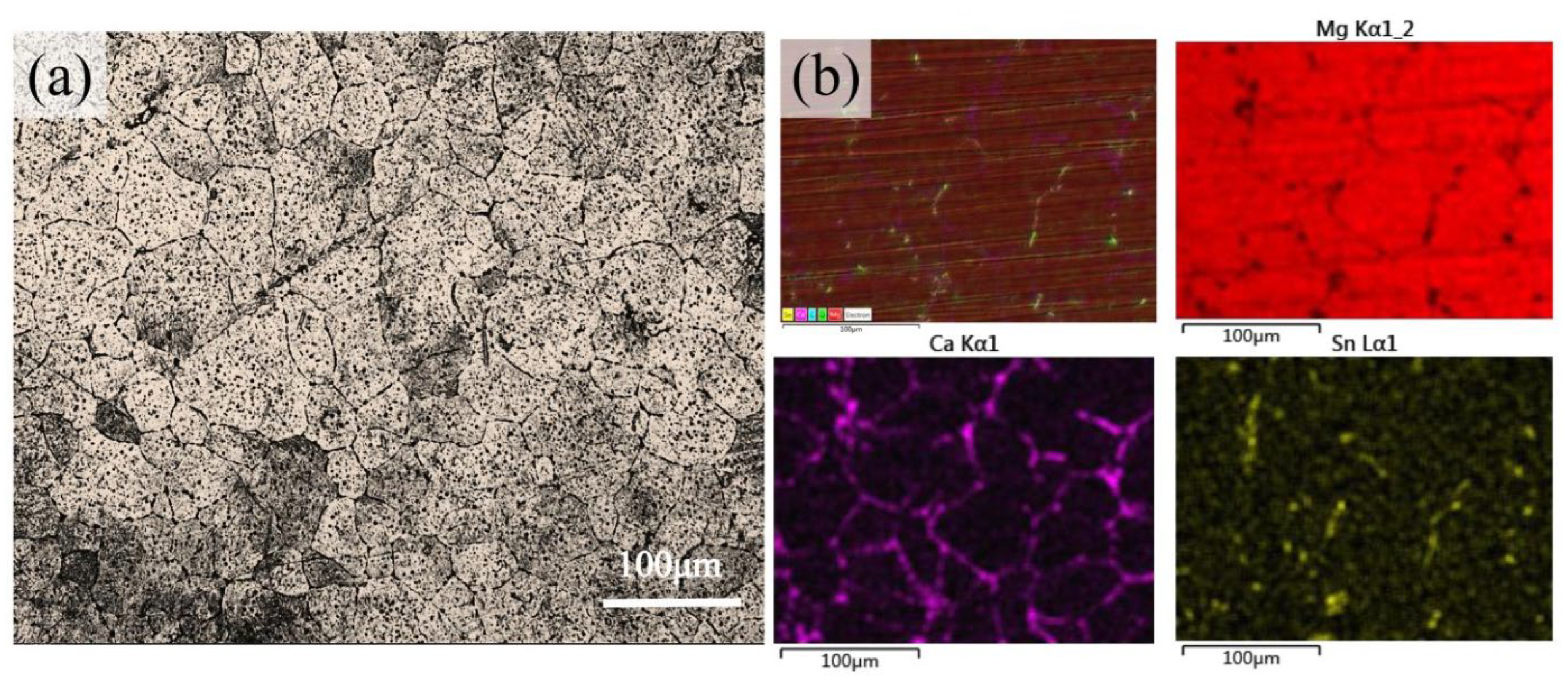 Metals 13 00645 g001