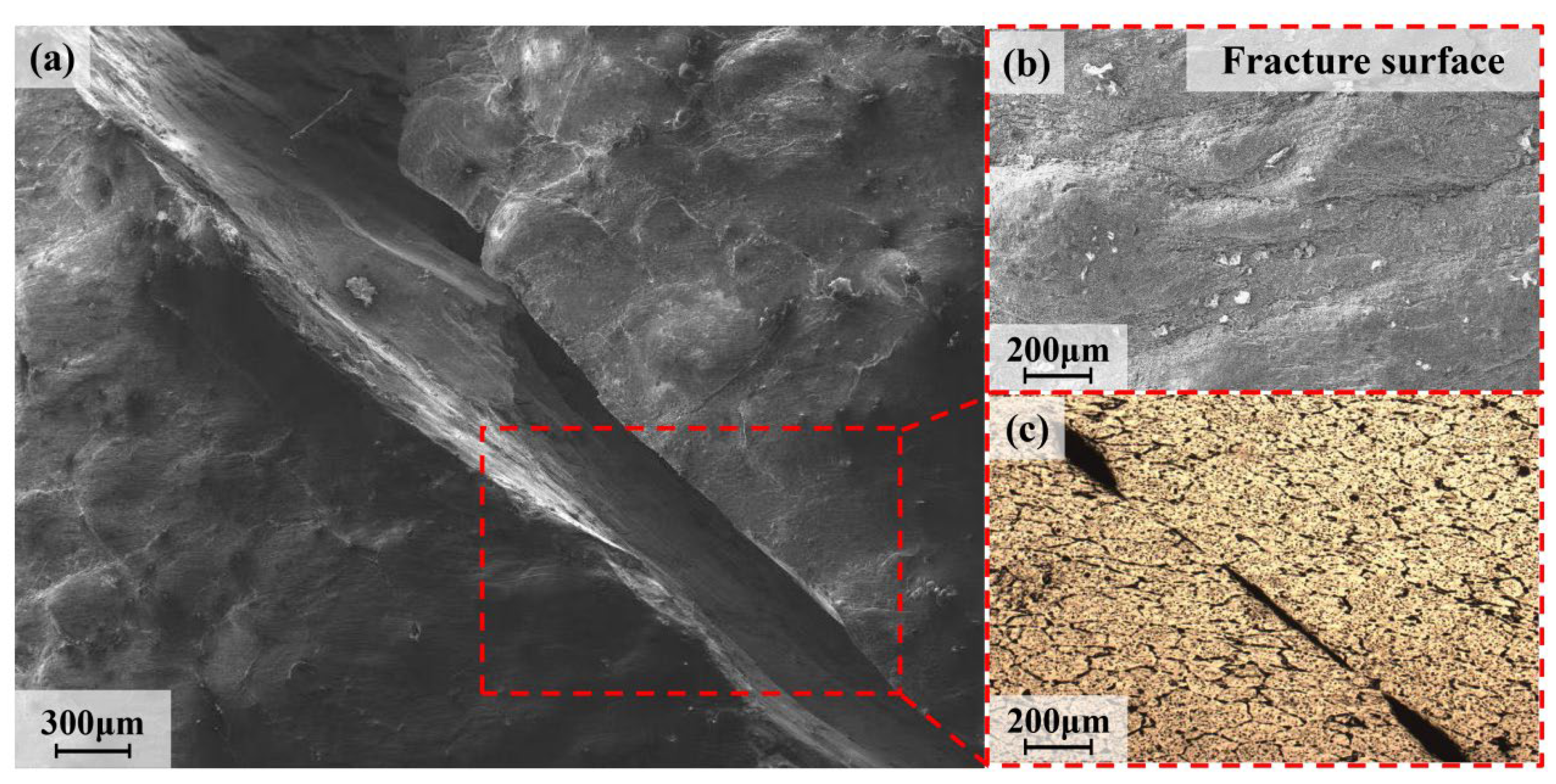 Metals 13 00645 g011