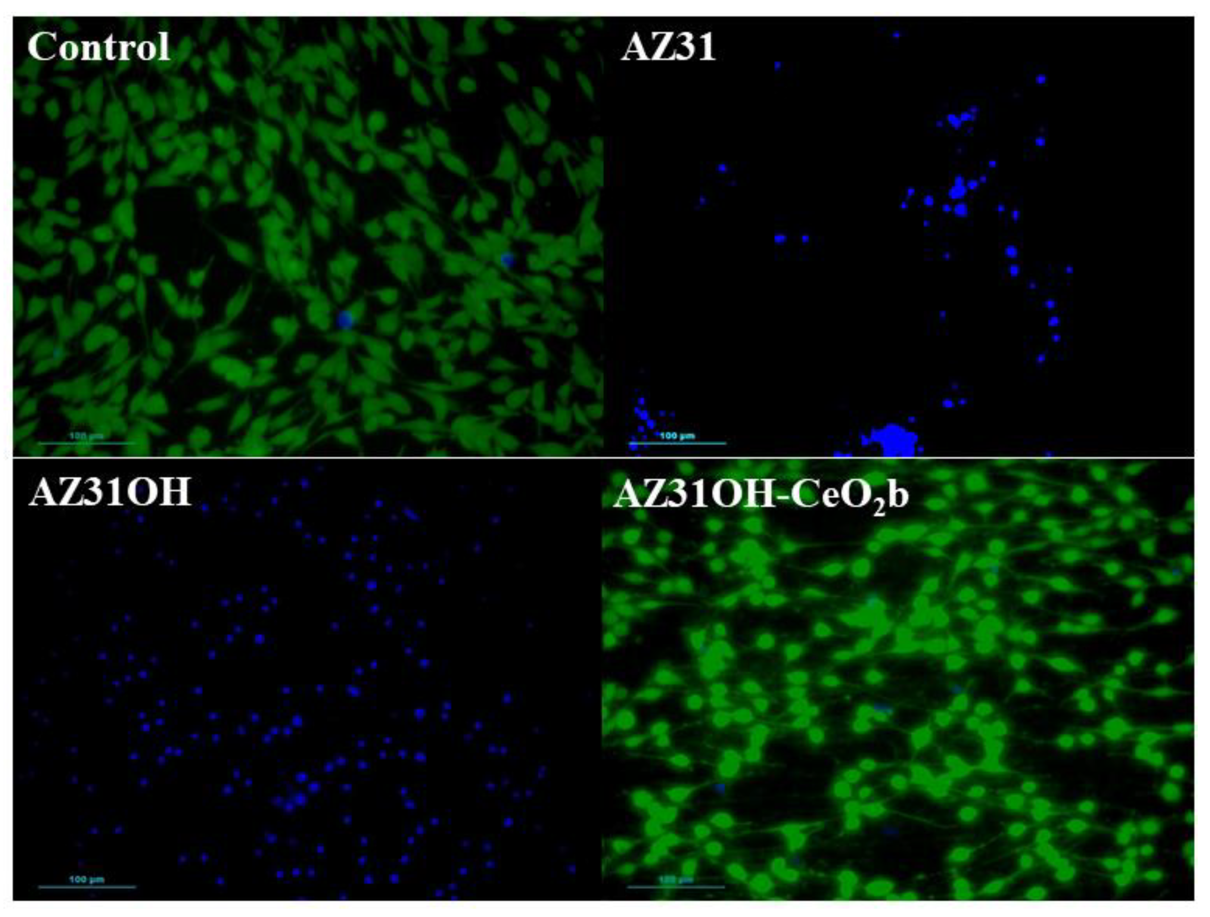 Metals 13 00653 g008 Metals 13 00653 g008