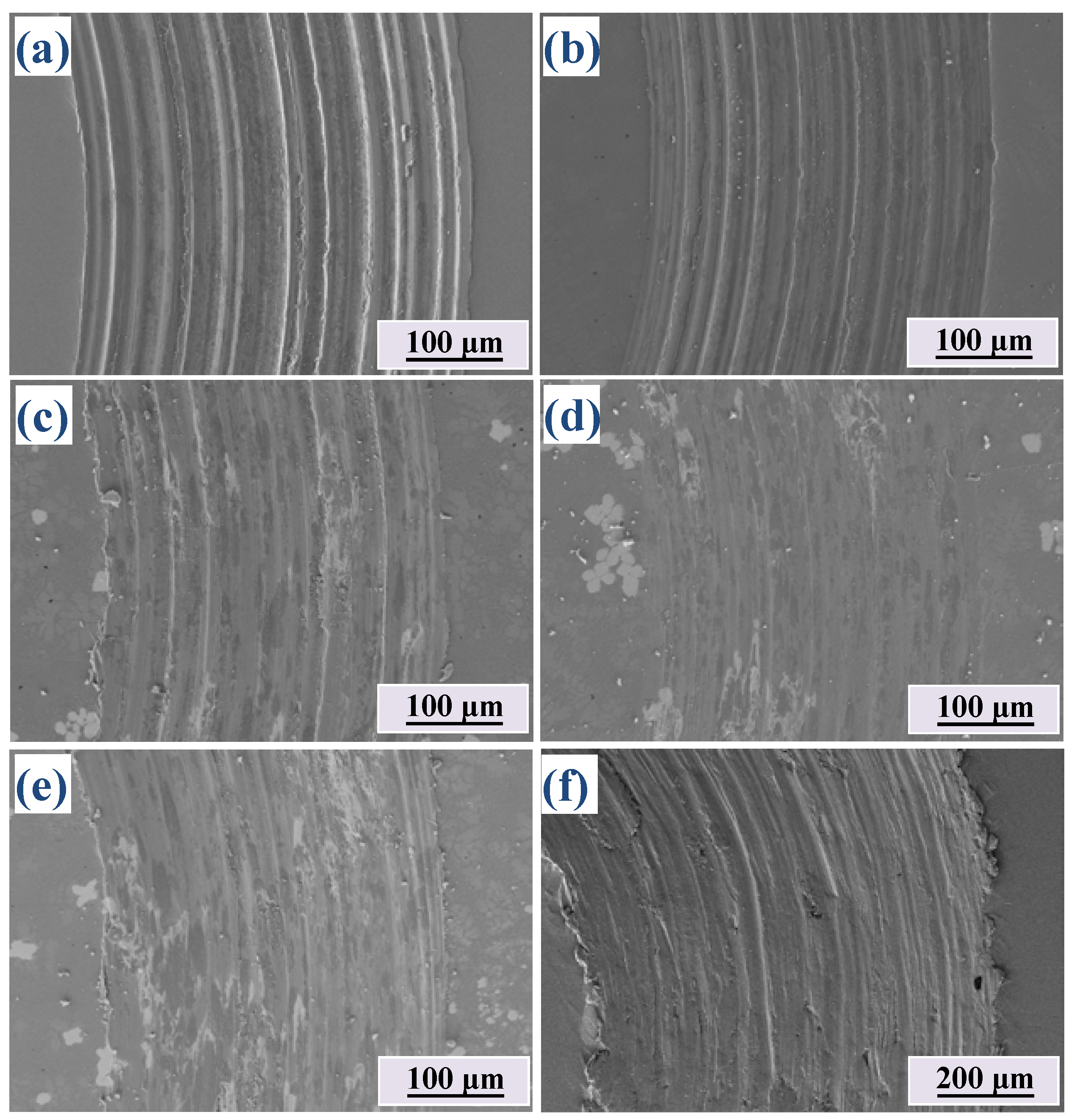 Metals 13 00656 g008