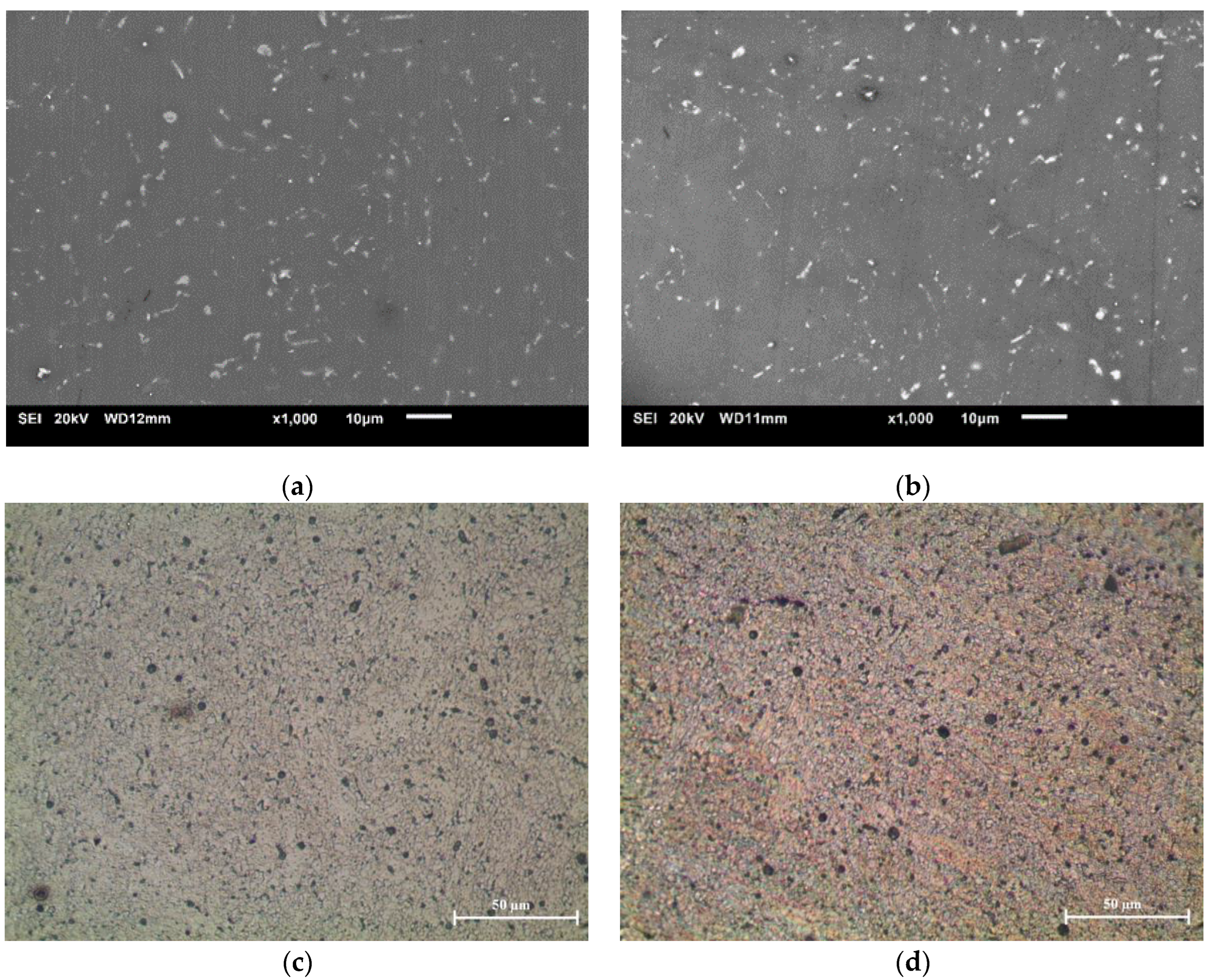 Metals 13 00660 g001 Metals 13 00660 g001