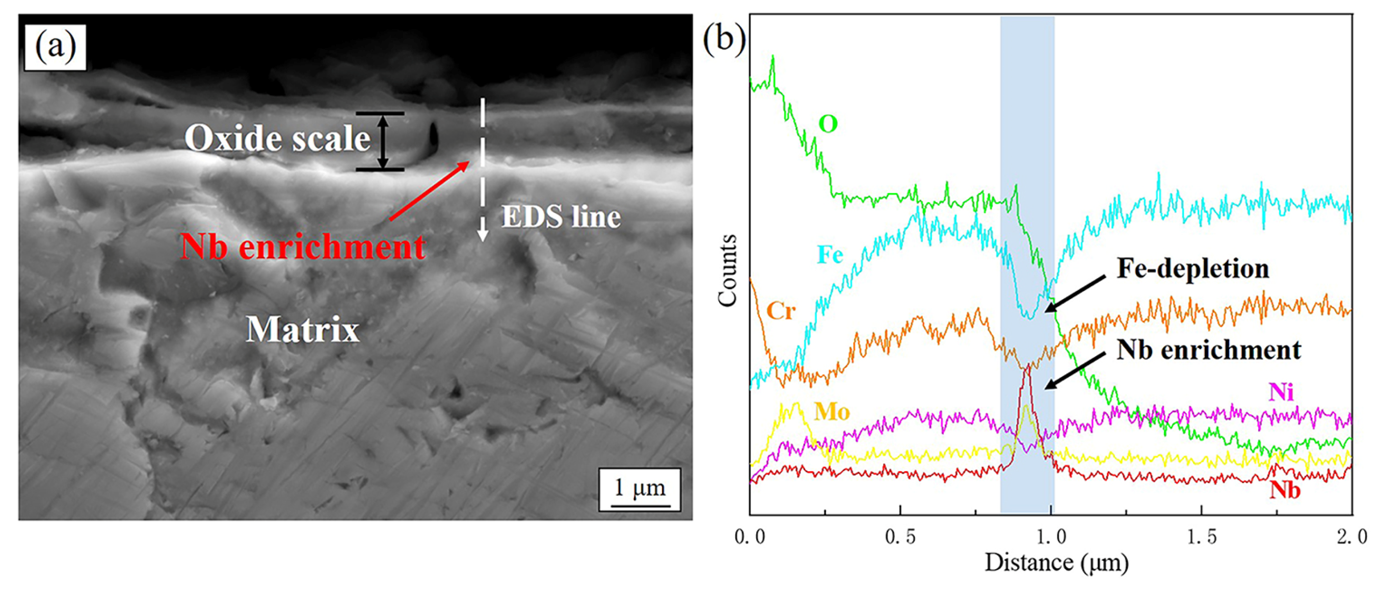 Metals 13 00665 g005