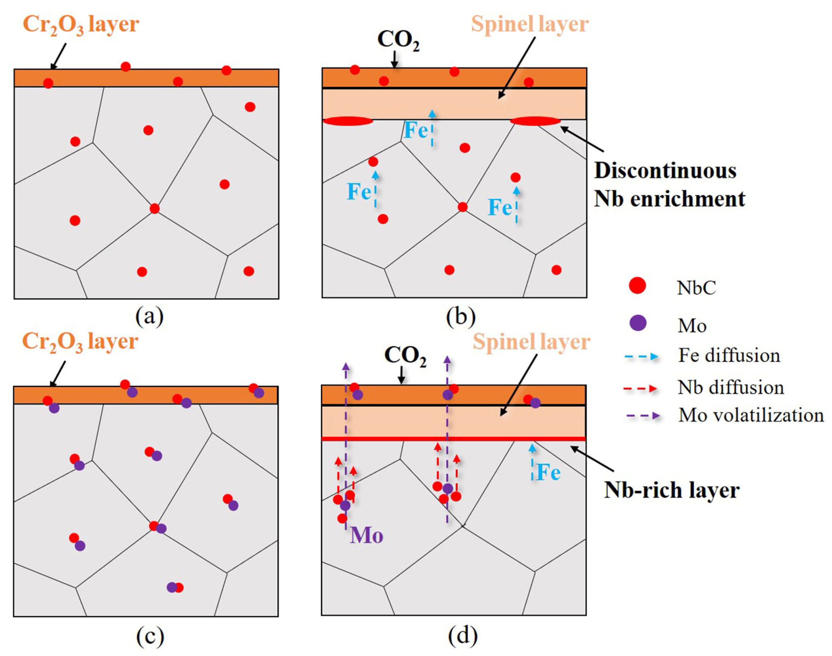 Metals 13 00665 g010