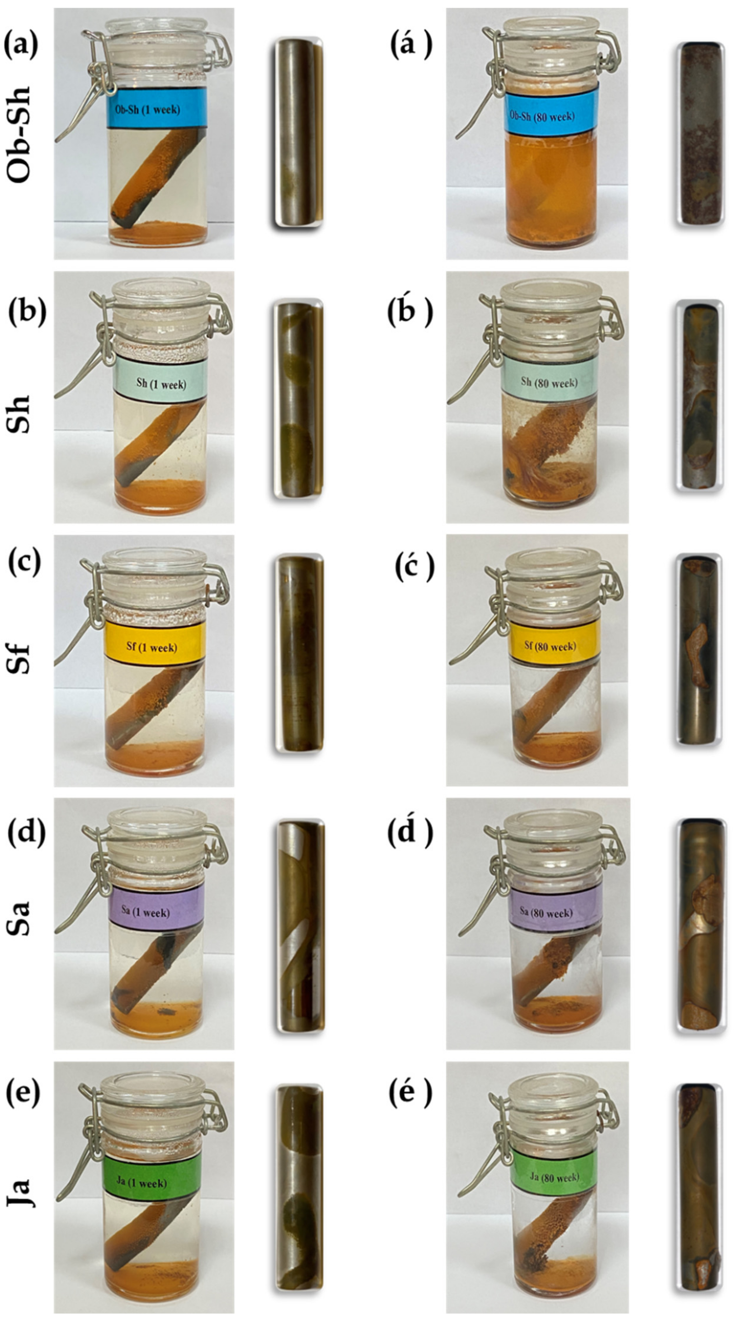 Metals 13 00670 g006