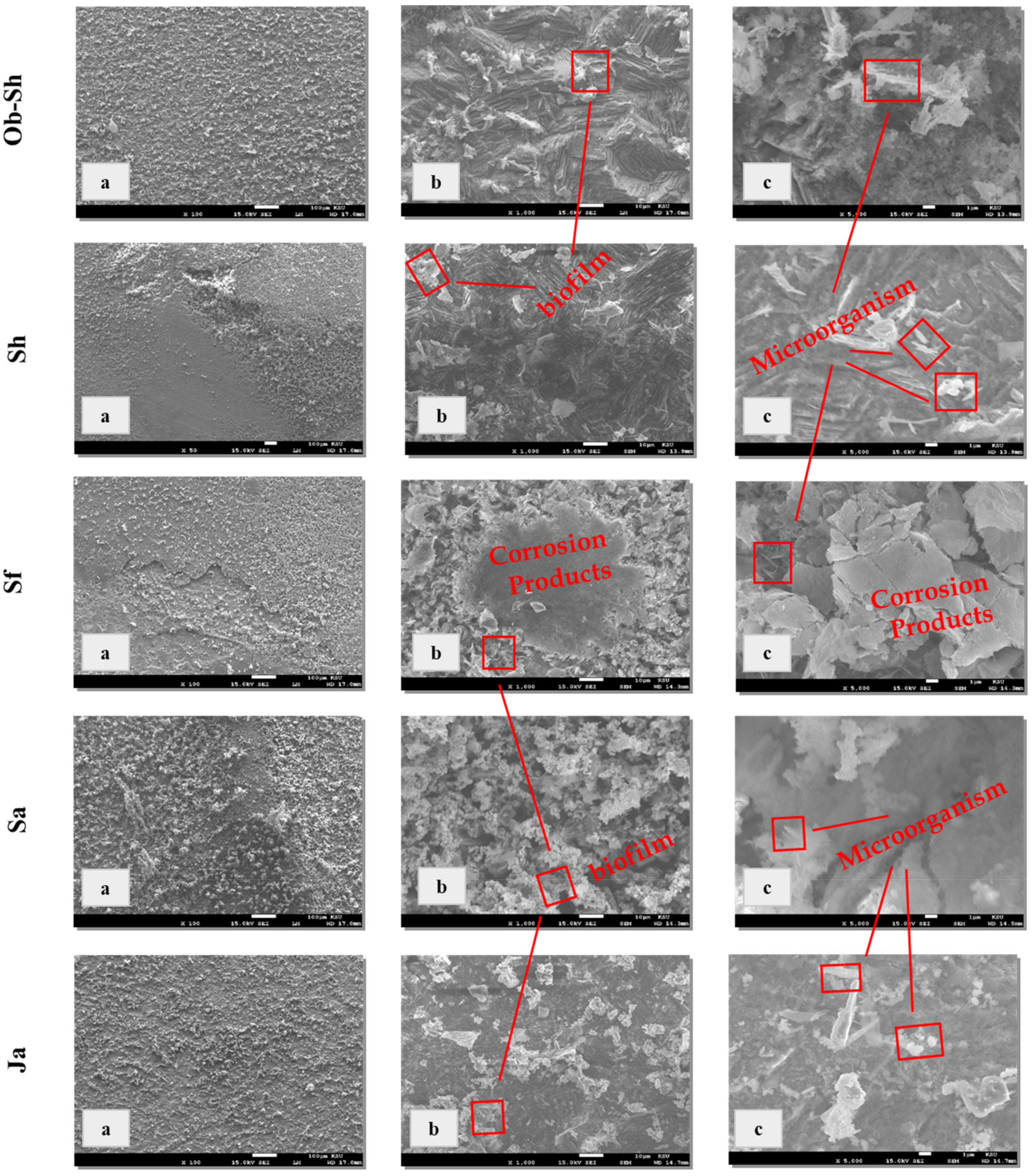 Metals 13 00670 g007