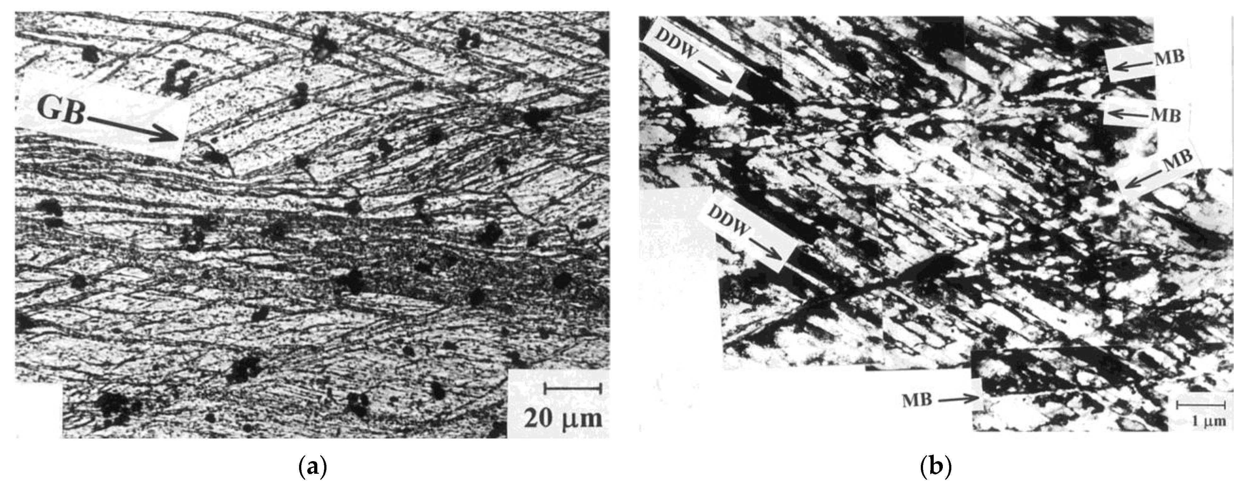 Metals 13 00674 g003