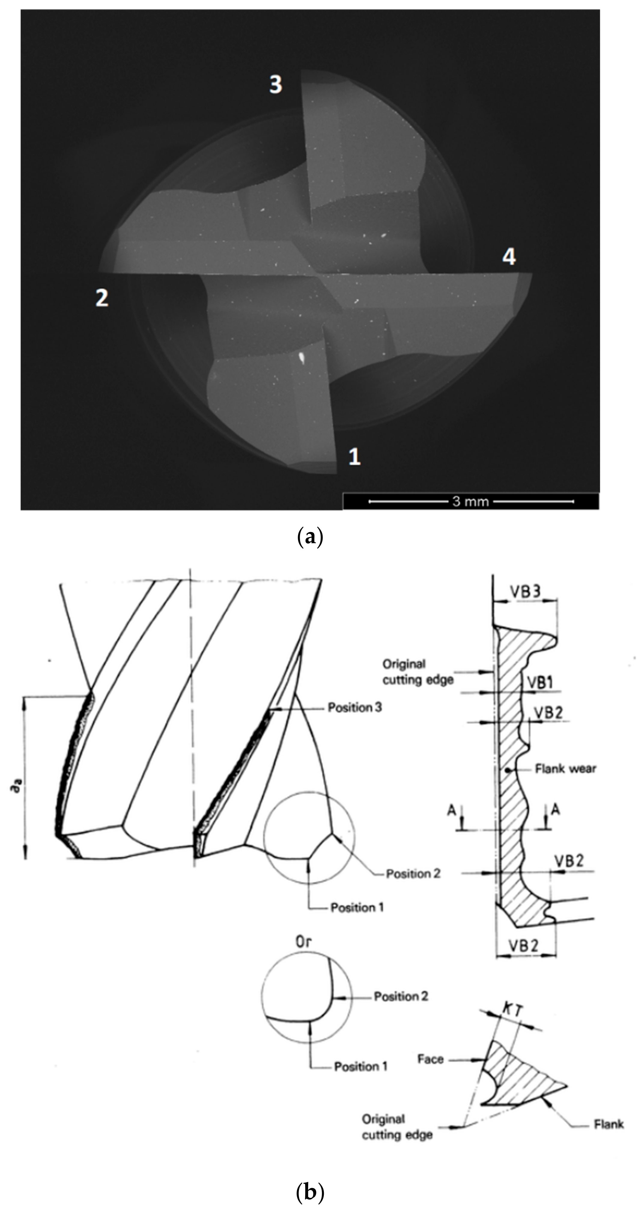 Metals 13 00684 g001
