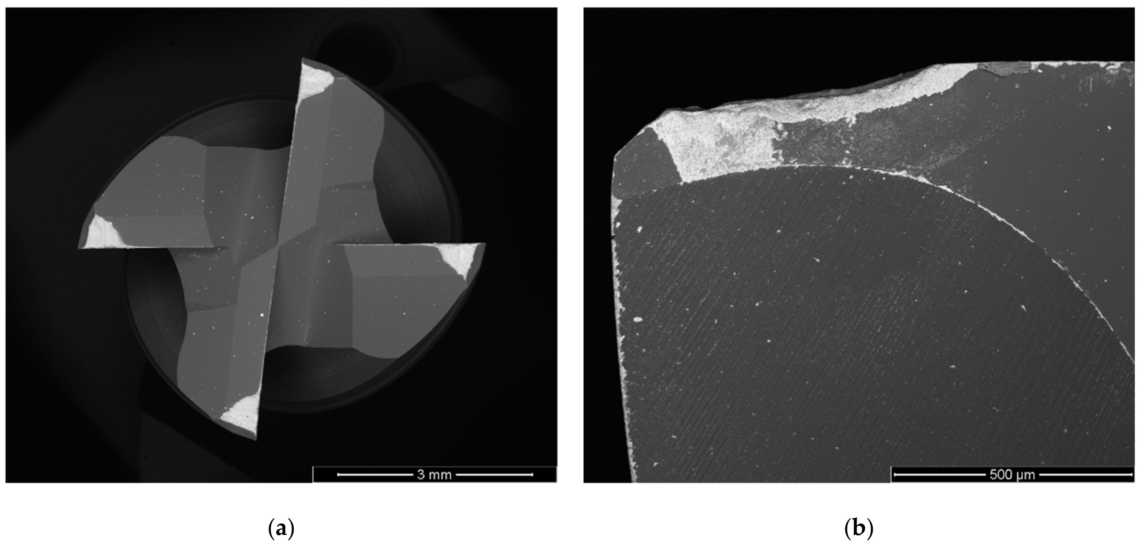 Metals 13 00684 g010