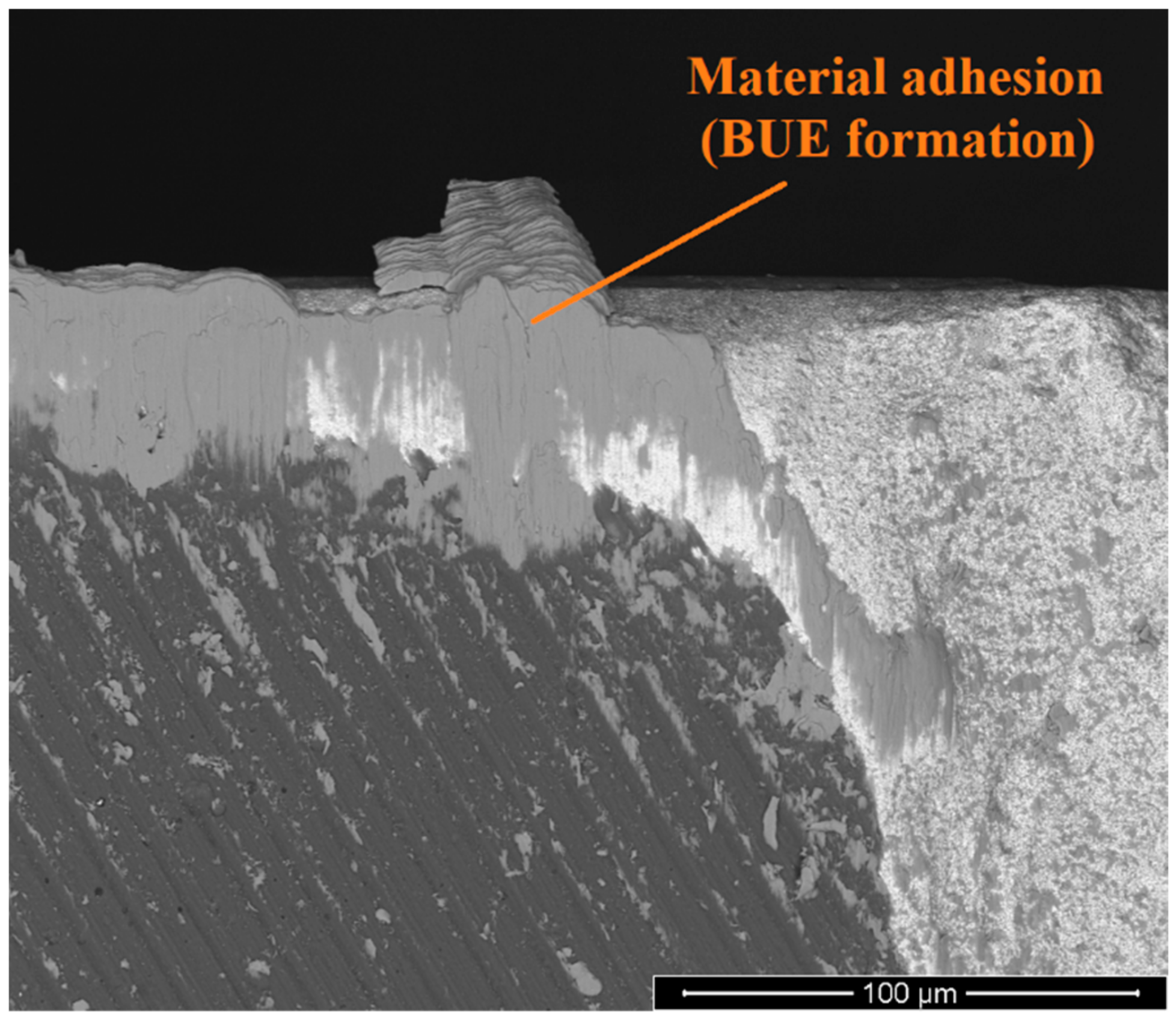 Metals 13 00684 g013