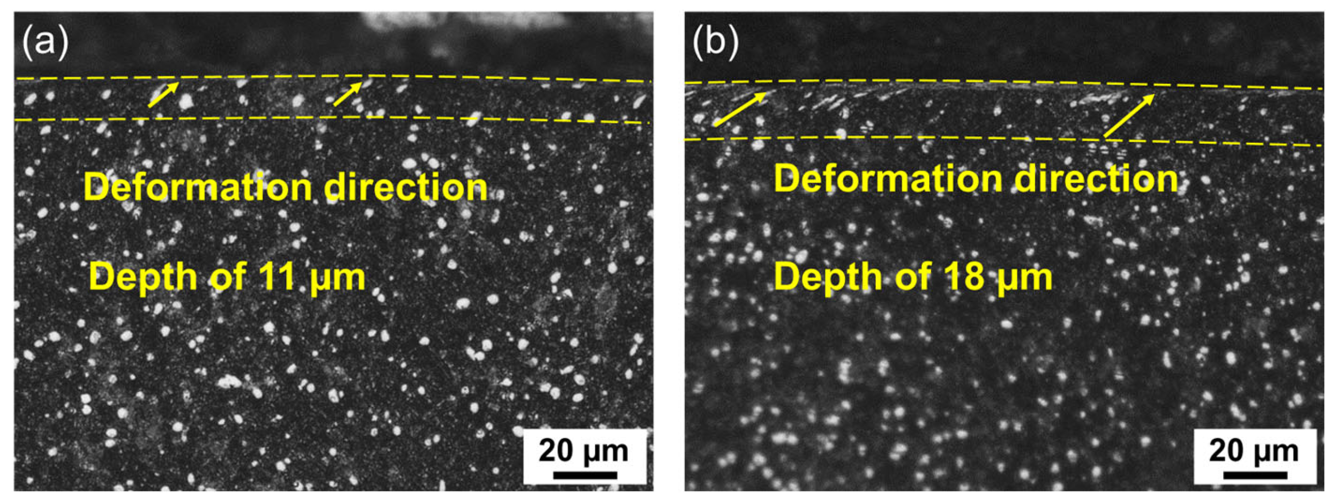 Metals 13 00702 g009