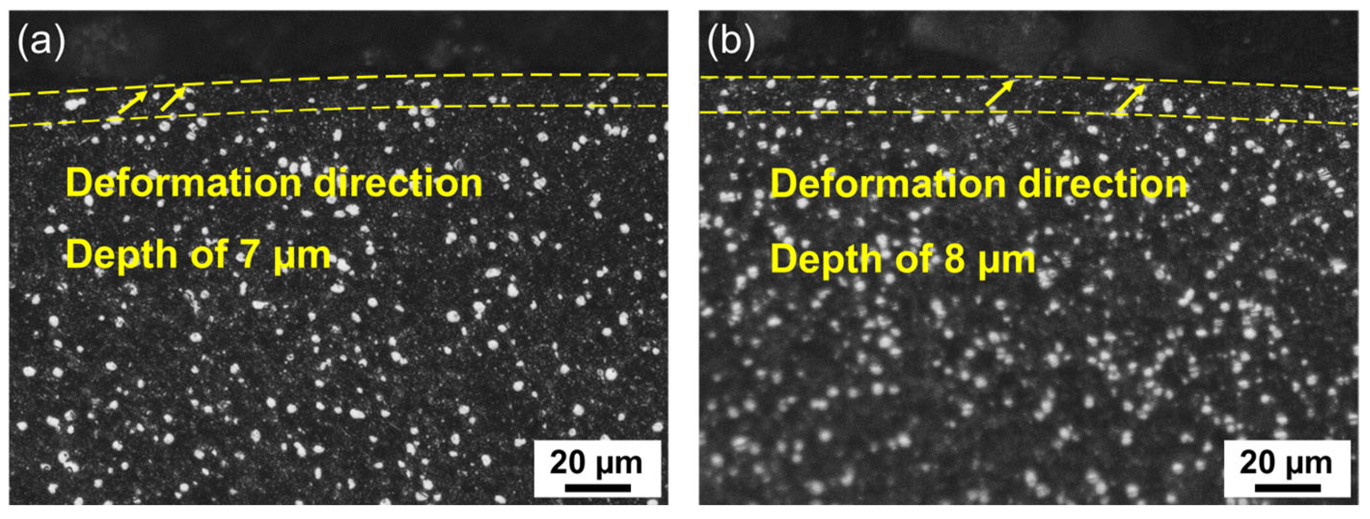 Metals 13 00702 g010