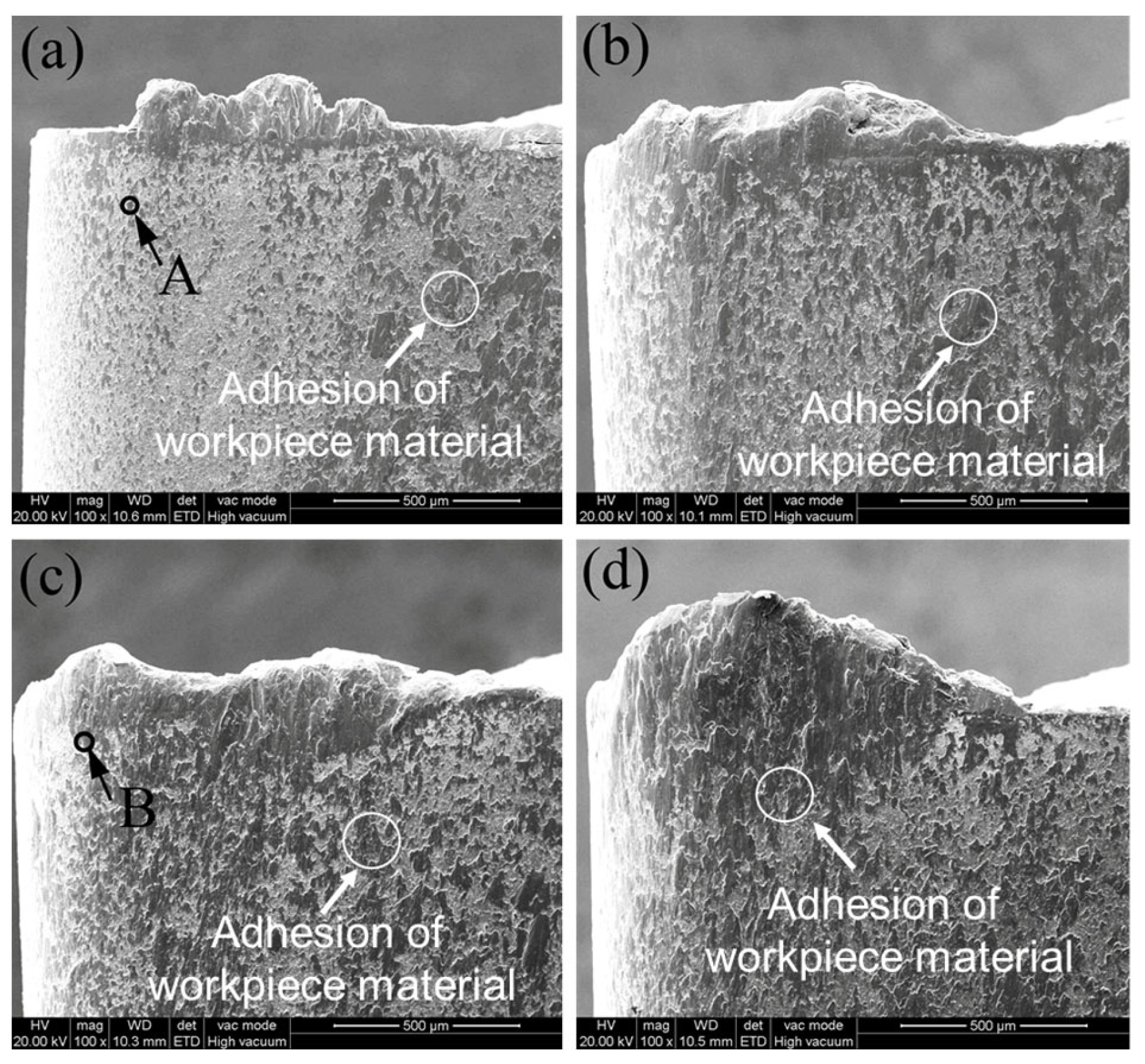 Metals 13 00702 g013