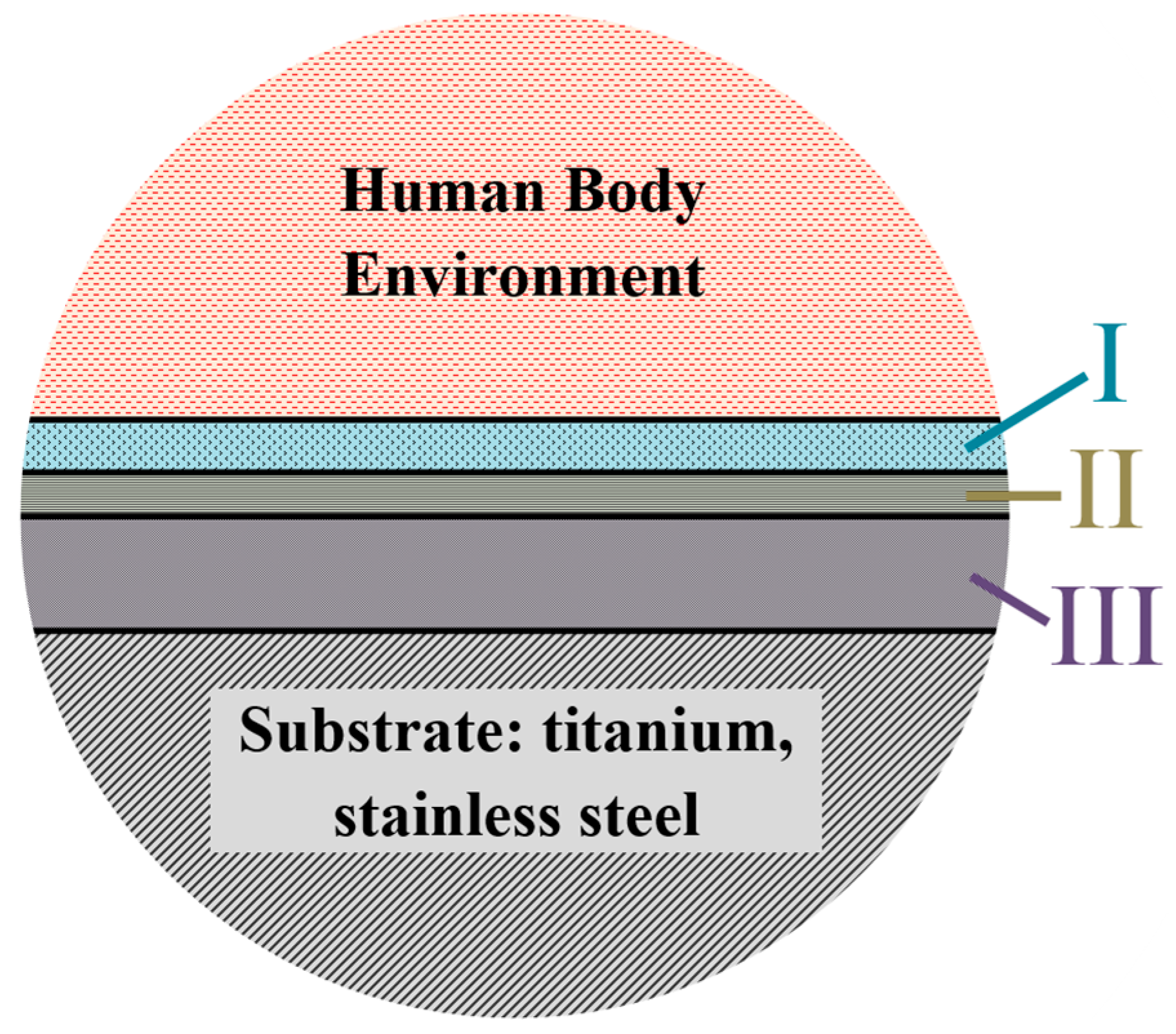Metals 13 00718 g006