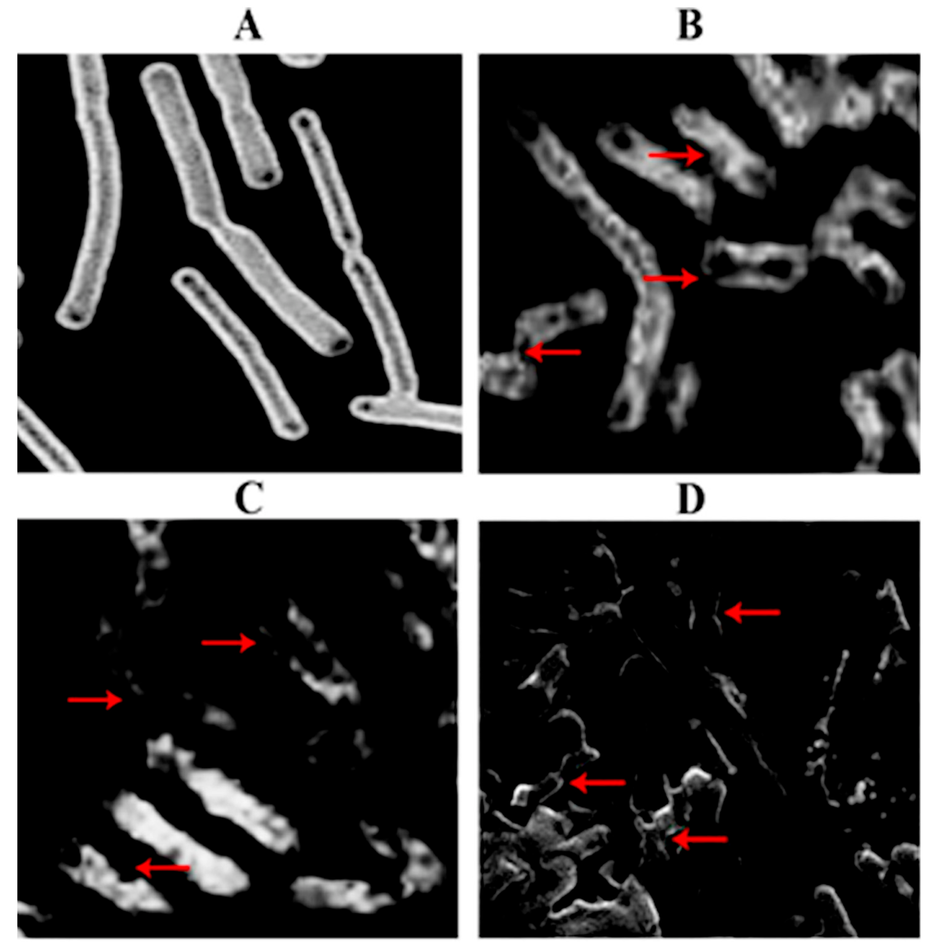 Metals 13 00735 g006