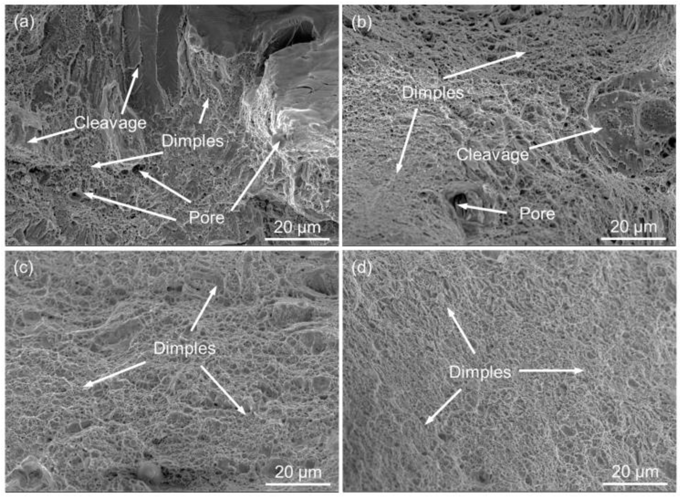 Metals 13 00741 g015