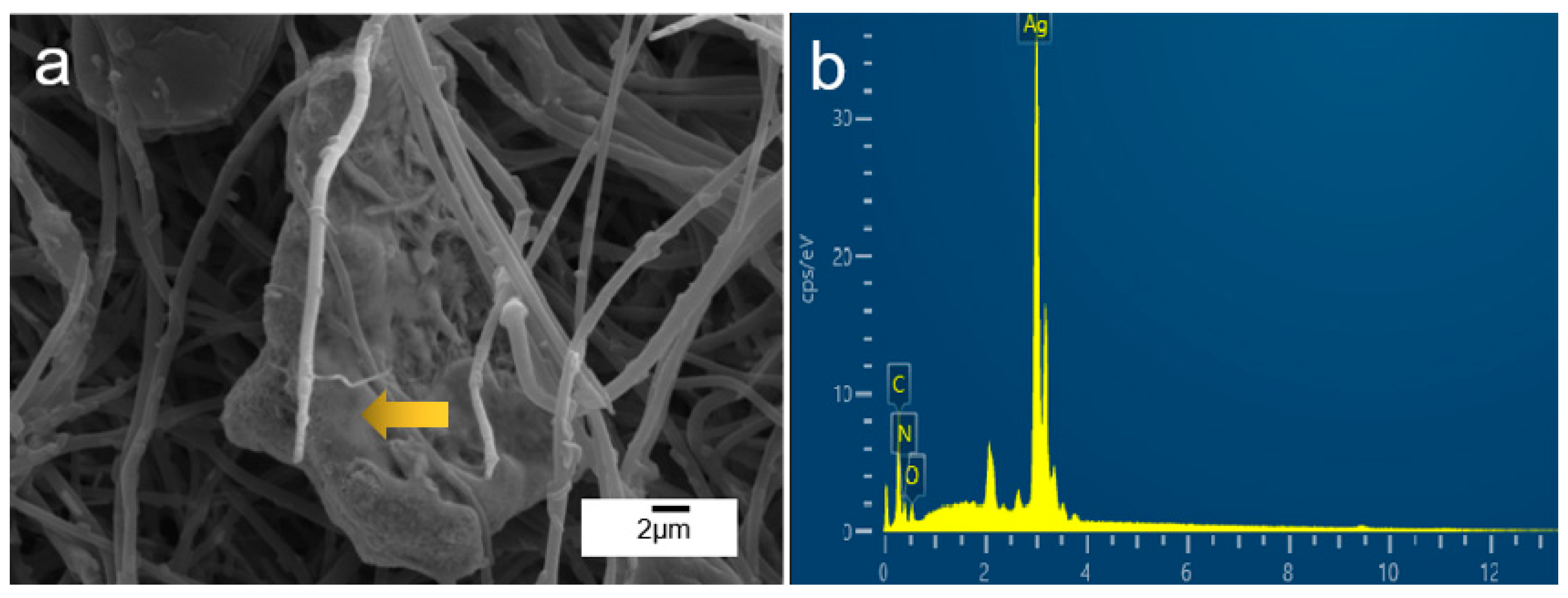 Metals 13 00745 g009 Metals 13 00745 g009