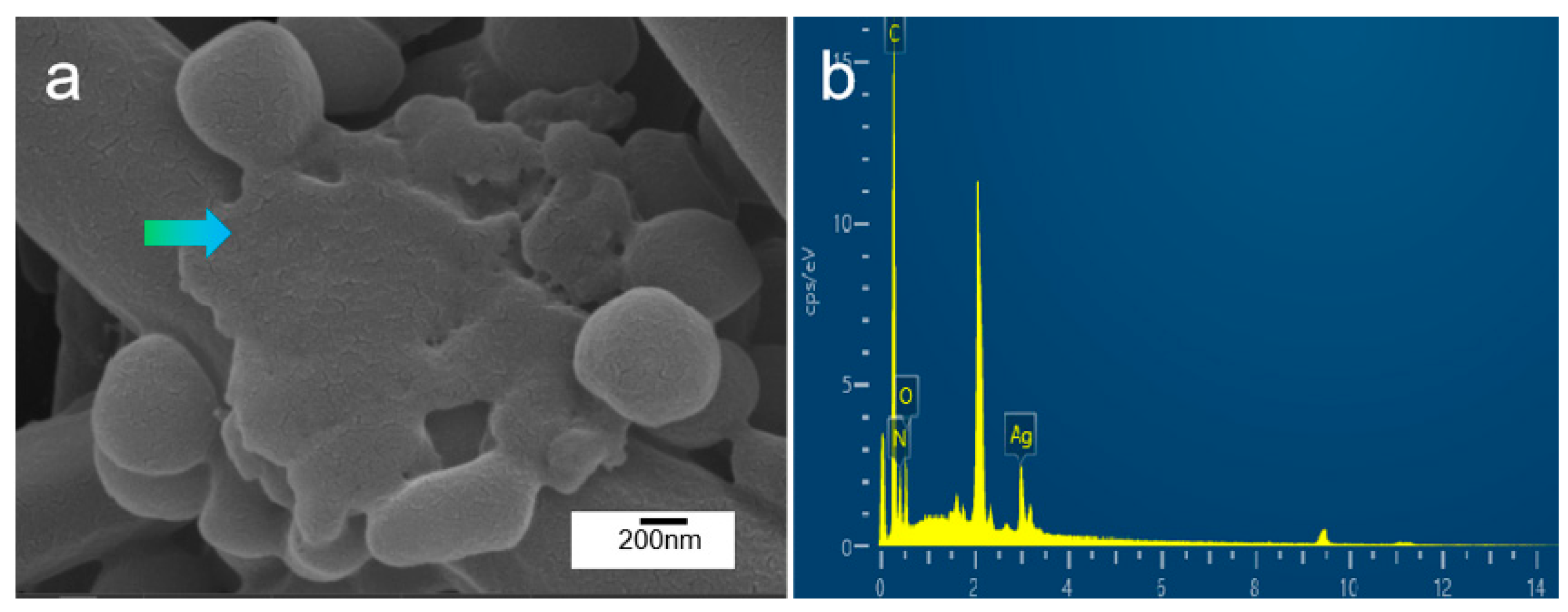 Metals 13 00745 g010 Metals 13 00745 g010