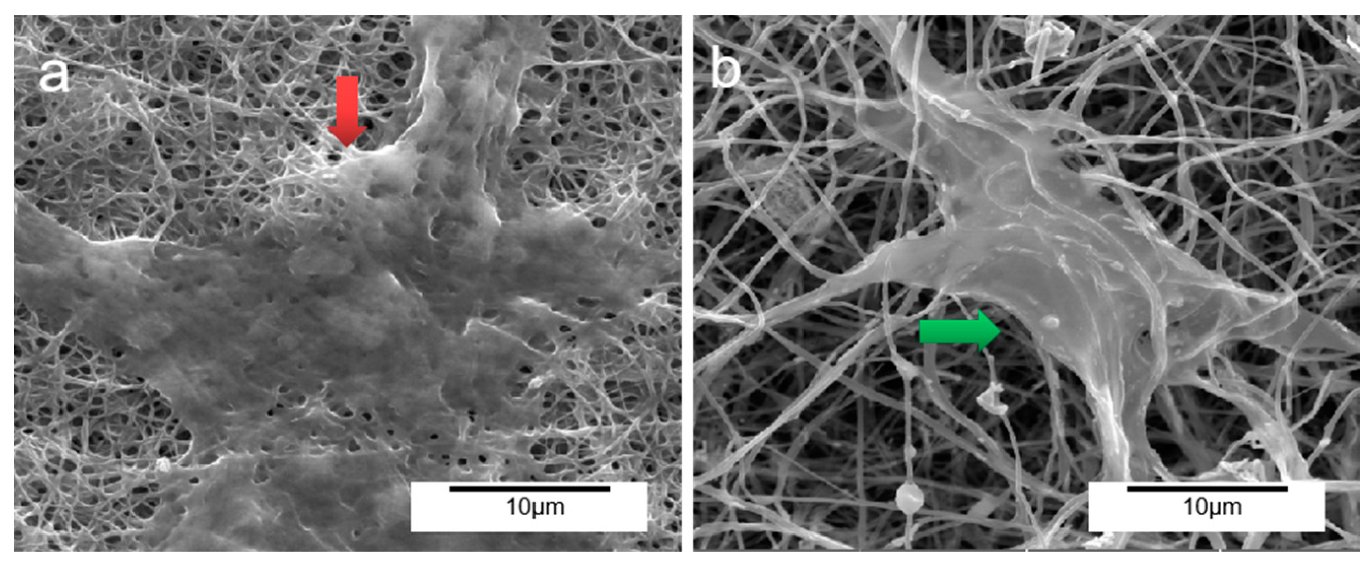 Metals 13 00745 g012 Metals 13 00745 g012