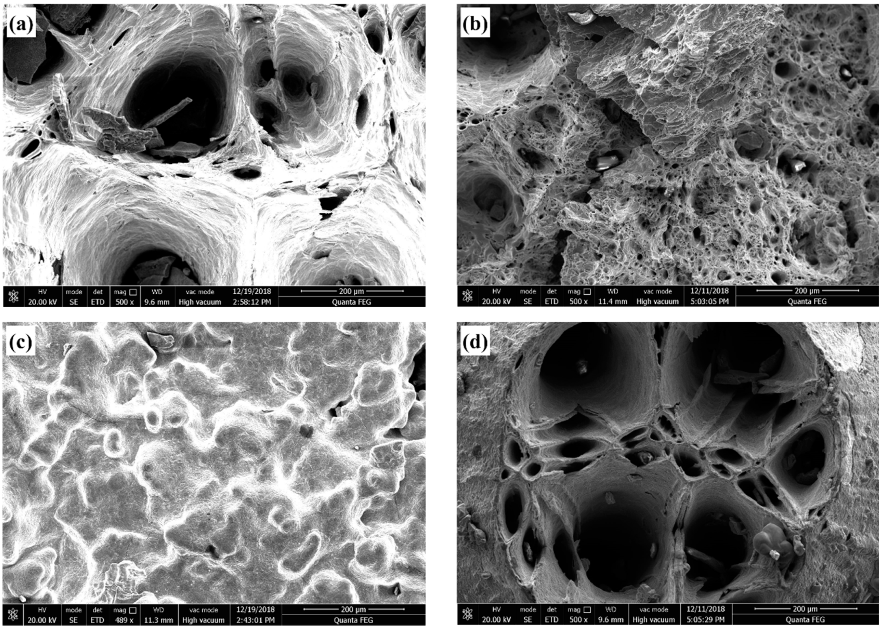 Metals 13 00747 g009