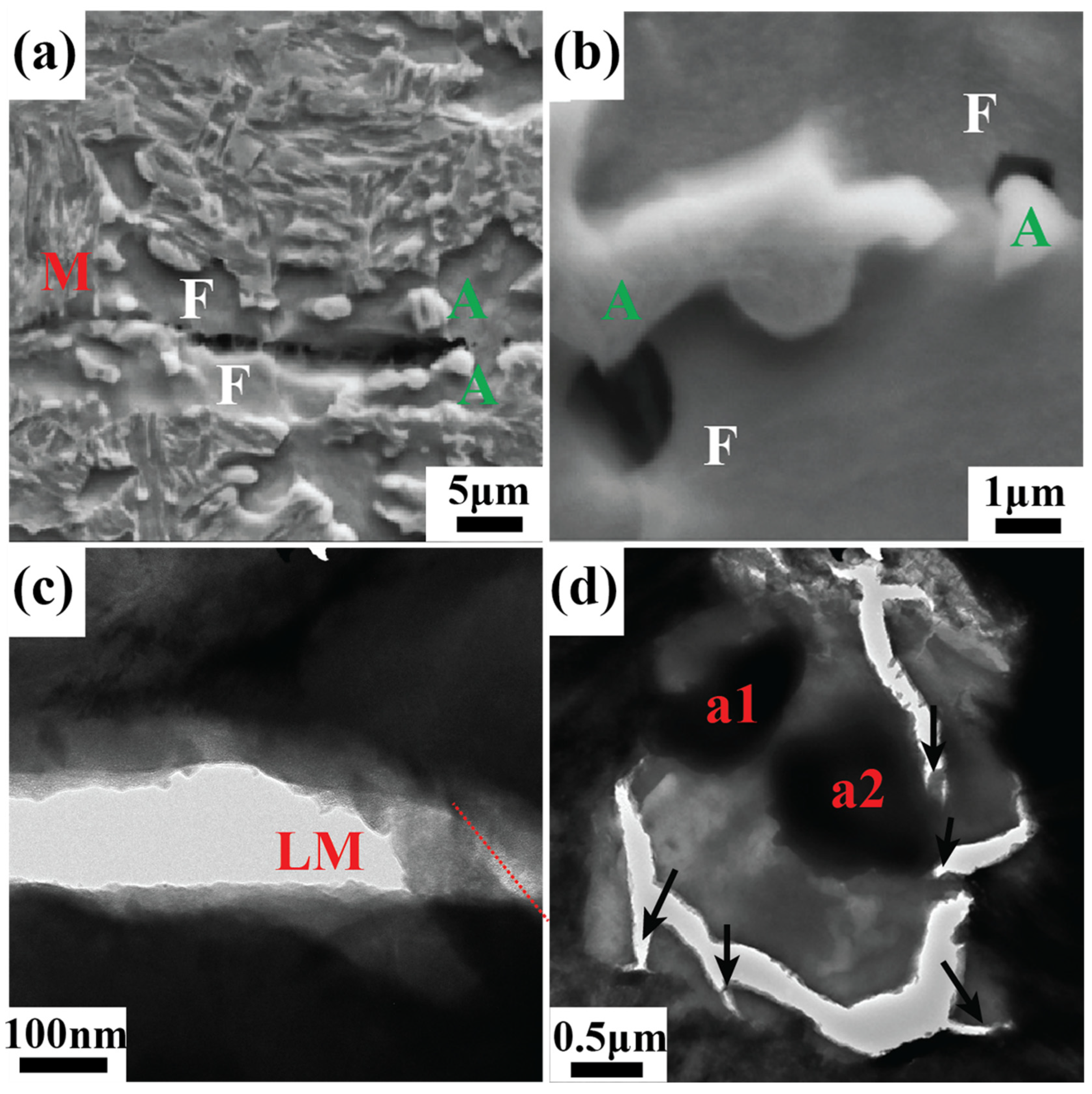 Metals 13 00762 g005