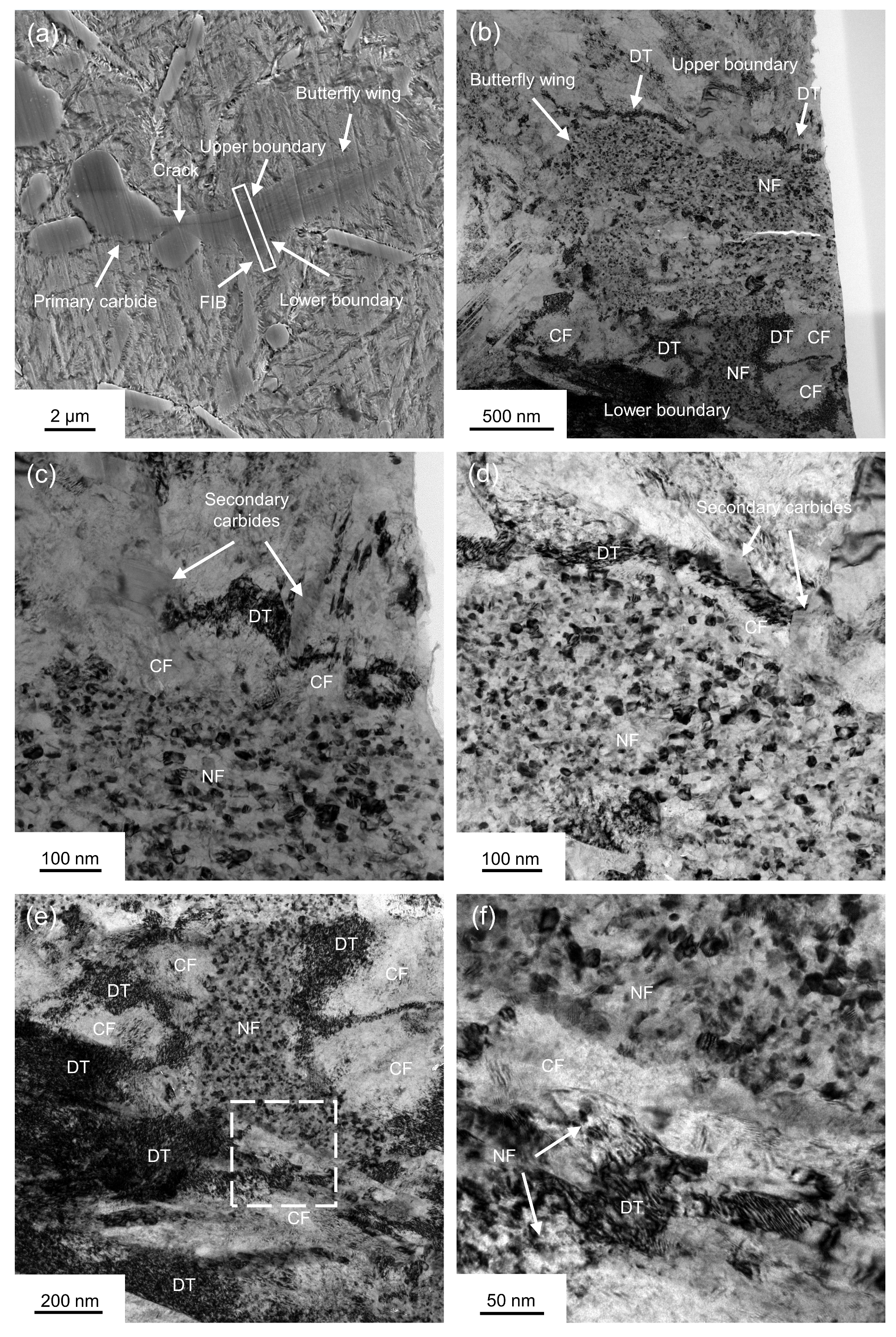 Metals 13 00769 g009 Metals 13 00769 g009