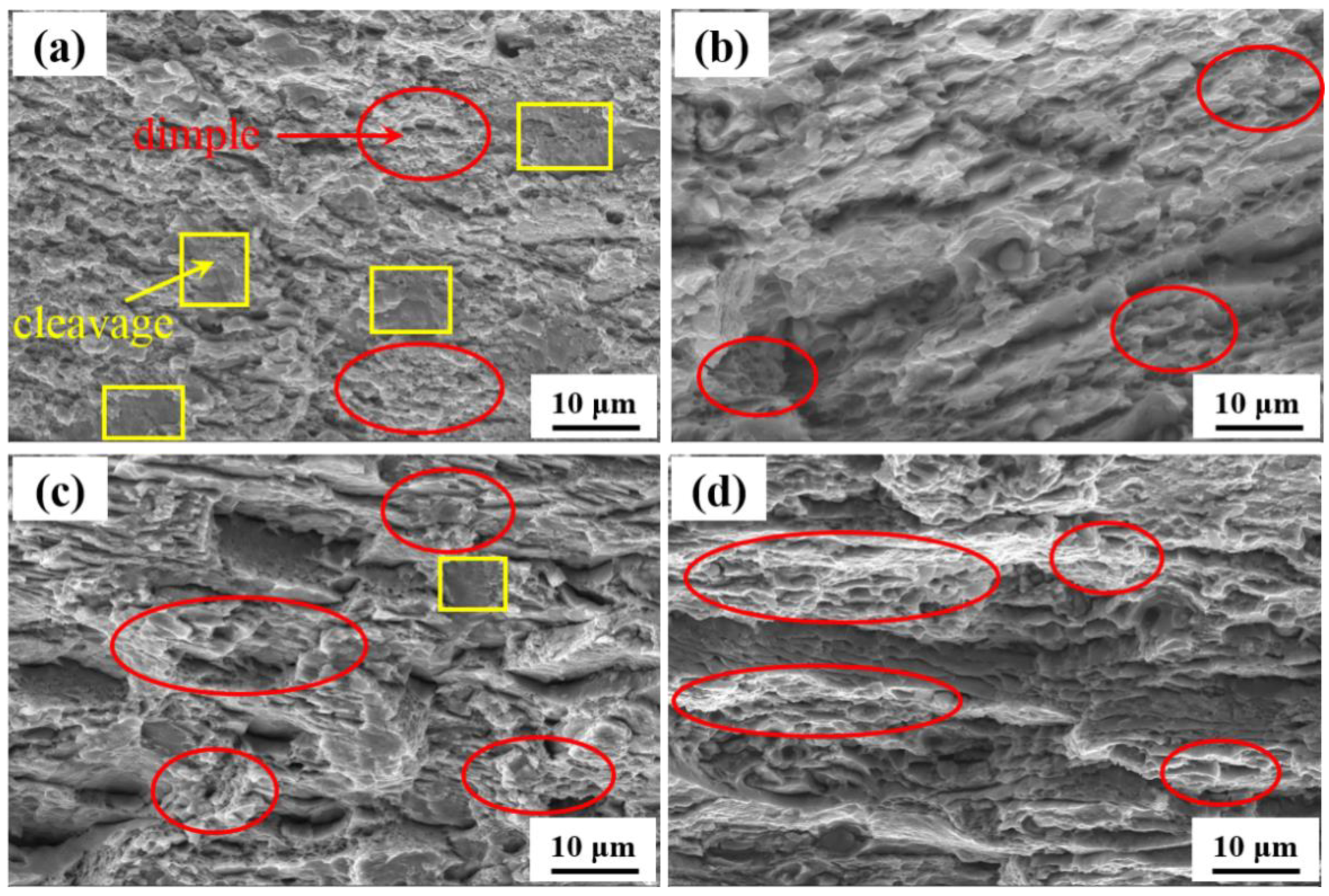 Metals 13 00770 g007