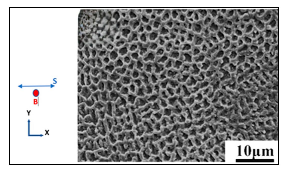 Metals 13 00787 g007