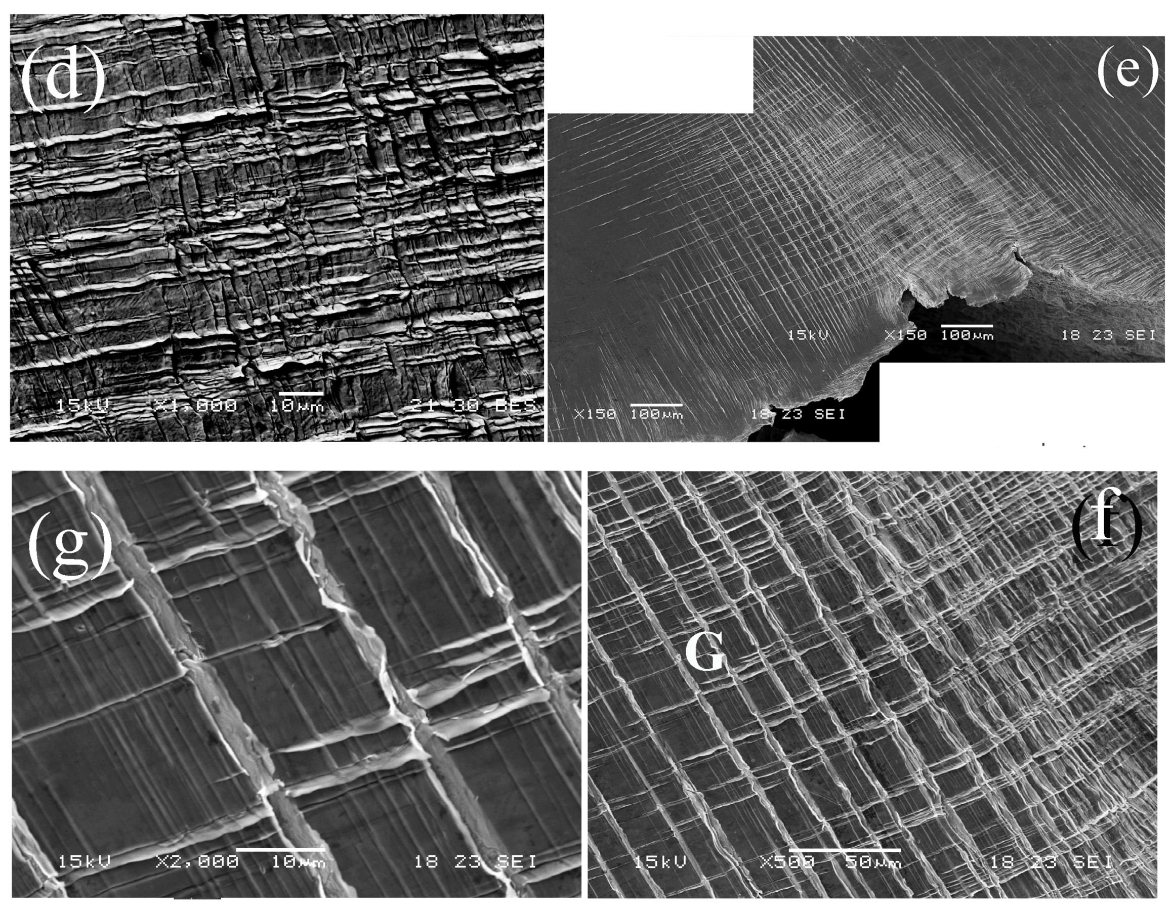 Metals 13 00790 g007b