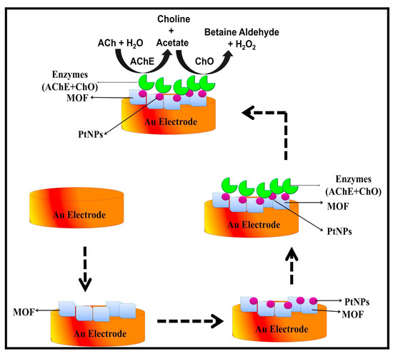 Nano-Biosensors Based on Noble Metal and Semiconductor Nano-Biosensors Based on Noble Metal and Semiconductor