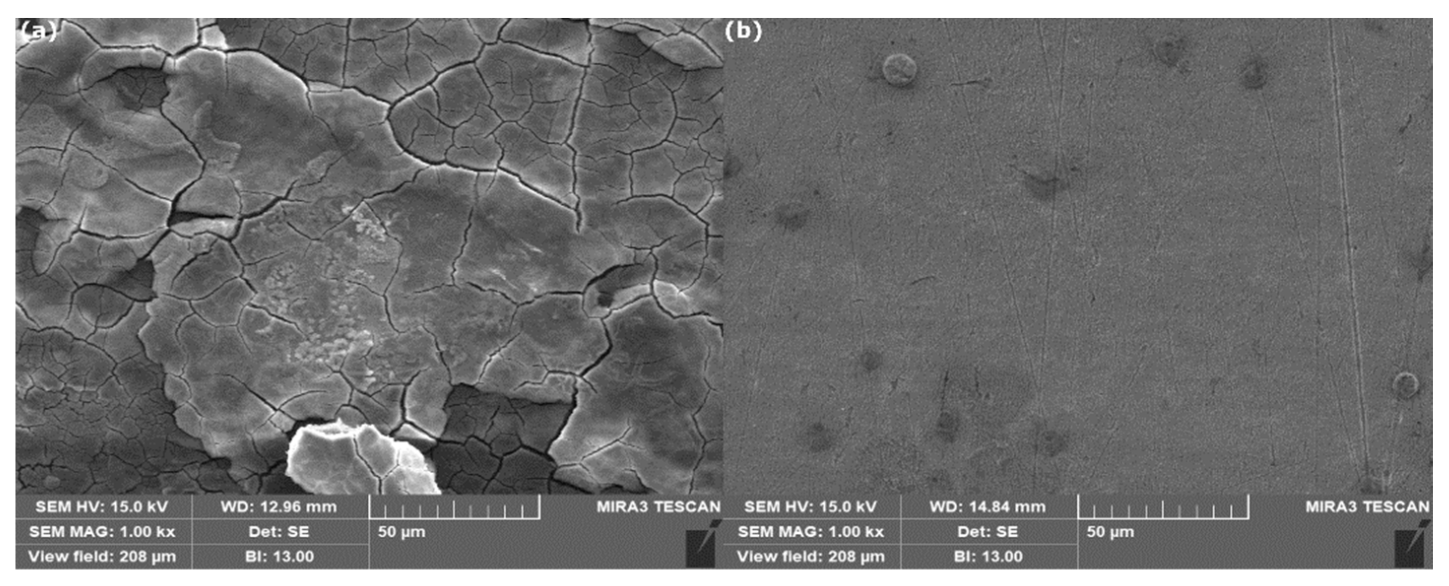 Metals 13 00797 g005