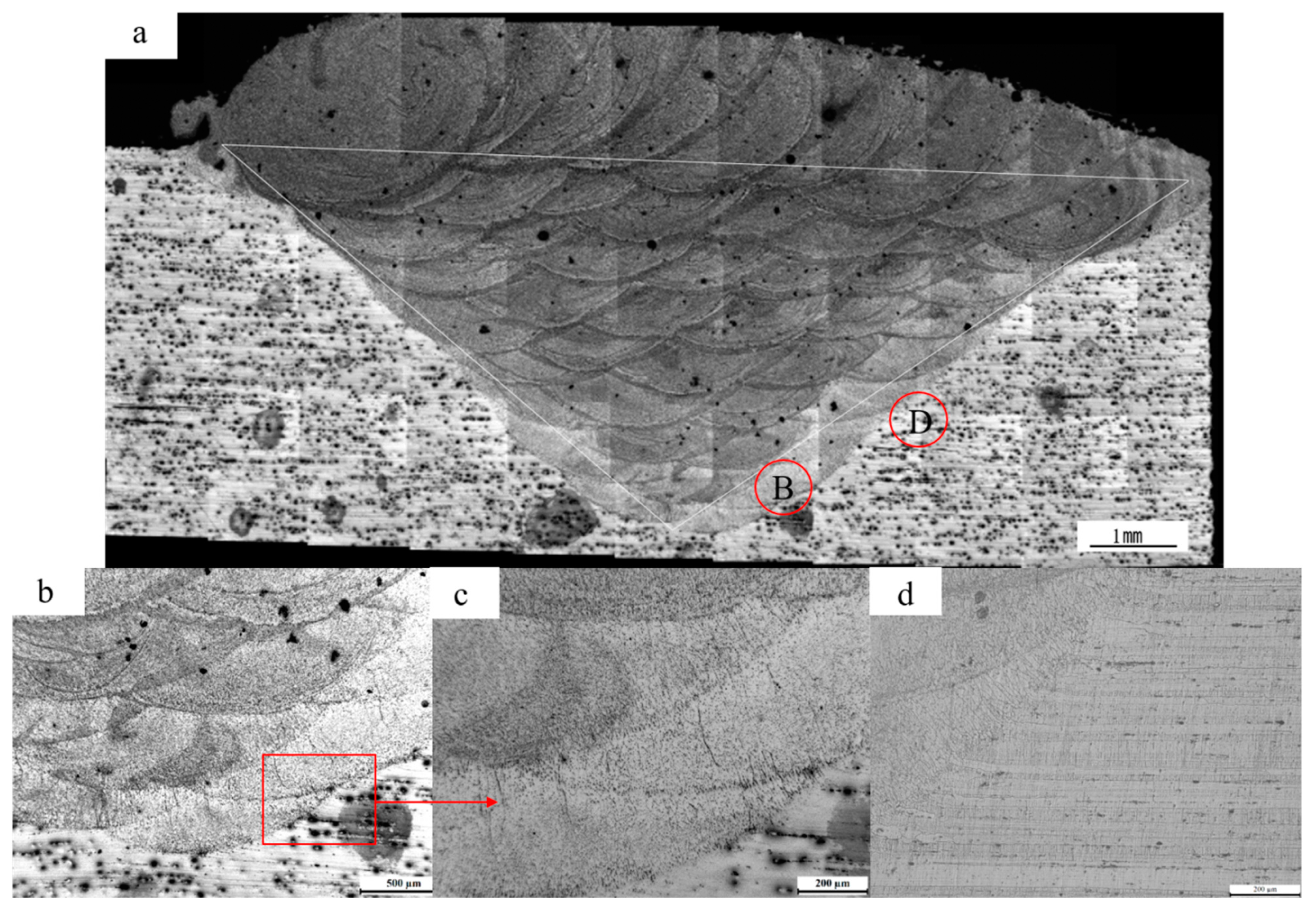 Metals 13 00829 g005