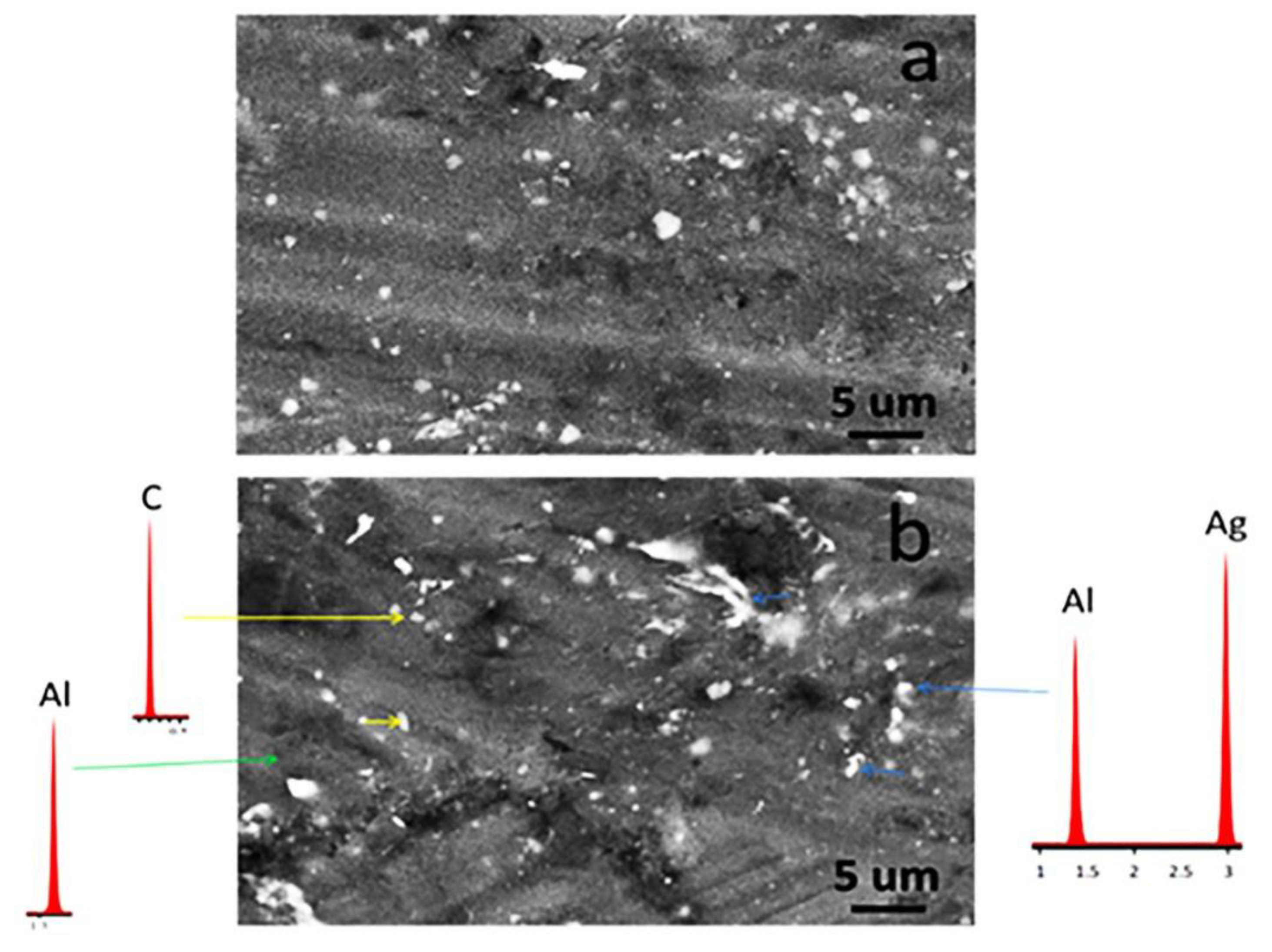Metals 13 00836 g005 Metals 13 00836 g005