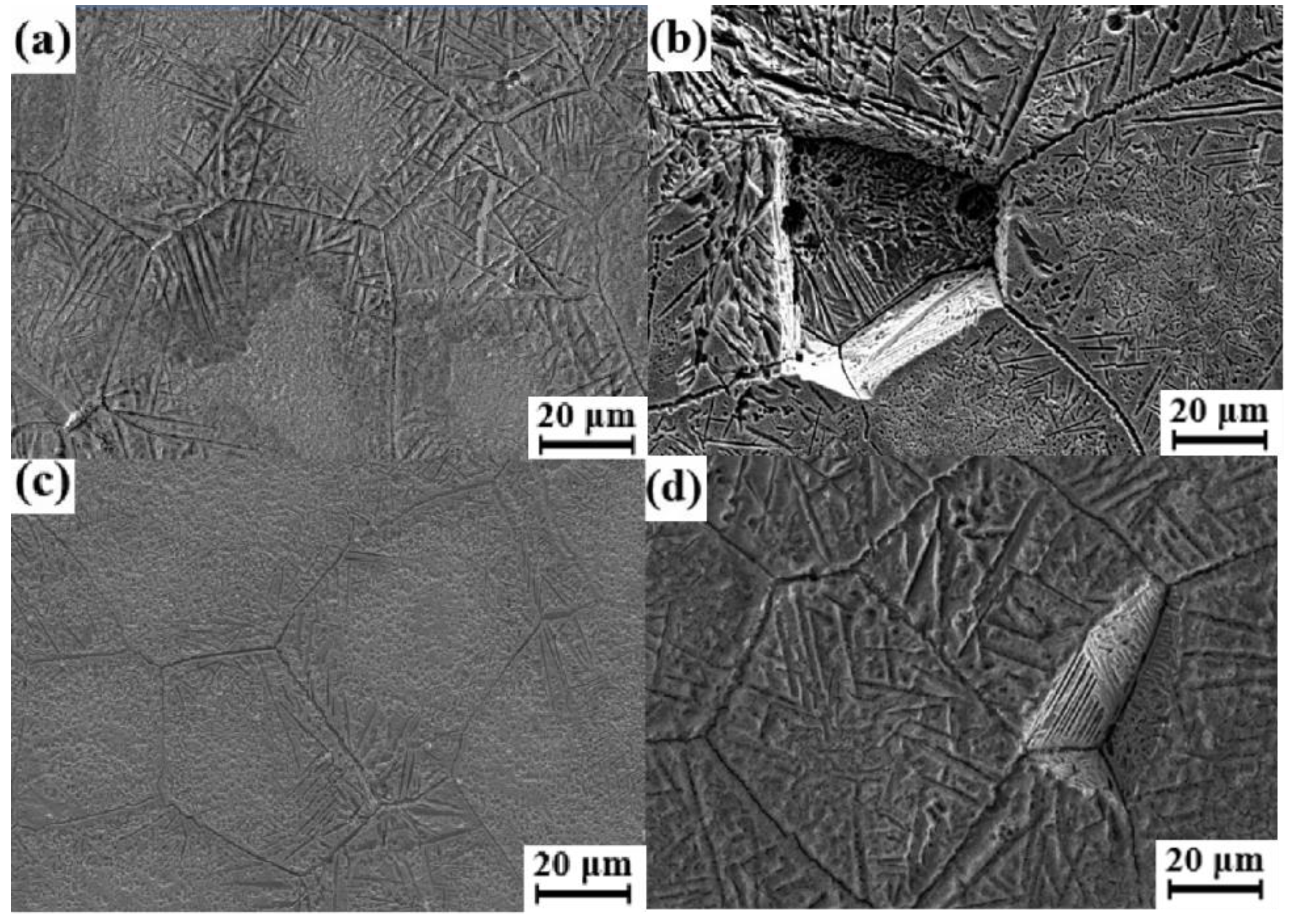 Metals 13 00849 g006