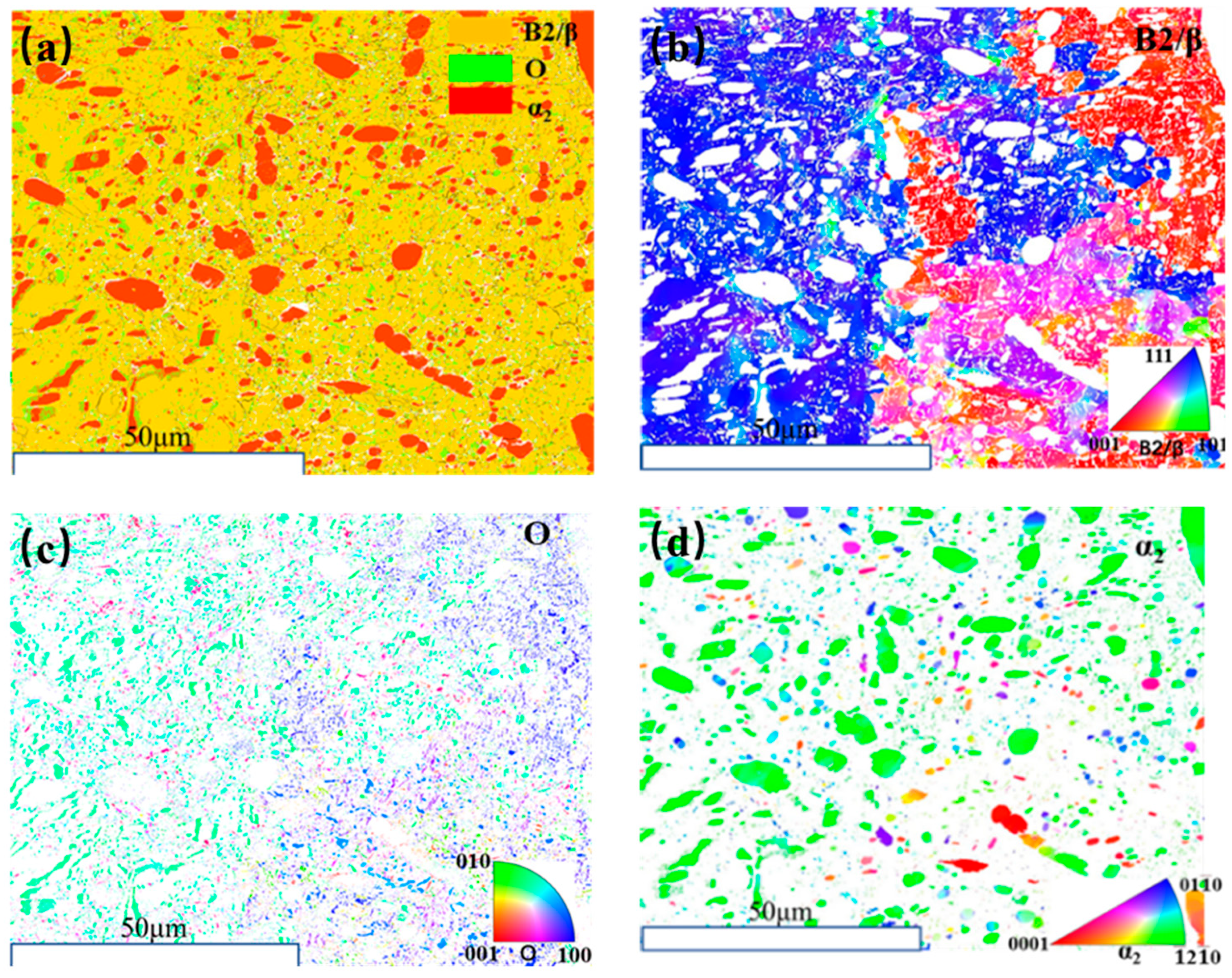Metals 13 00886 g006
