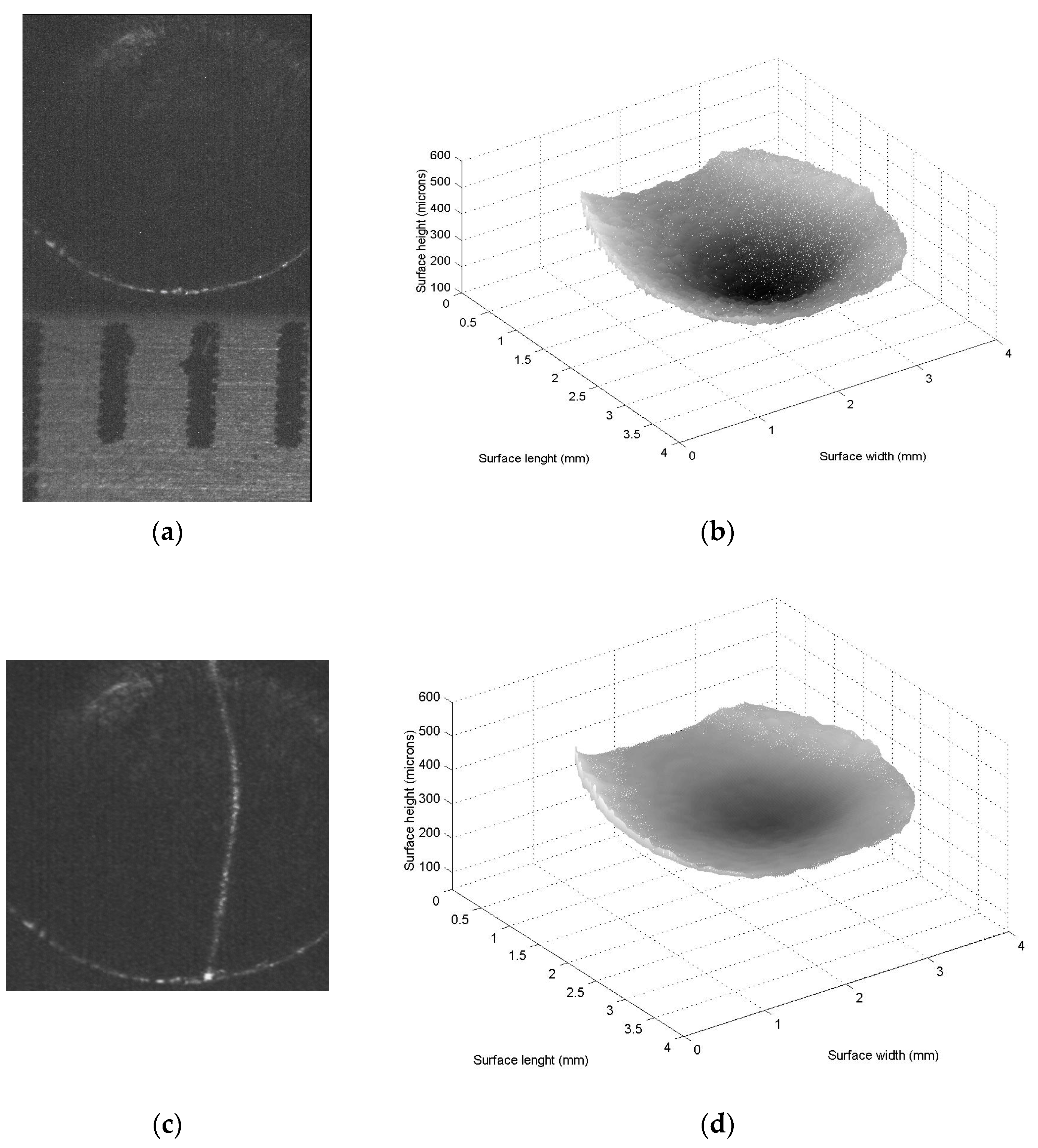 Metals 13 00889 g007