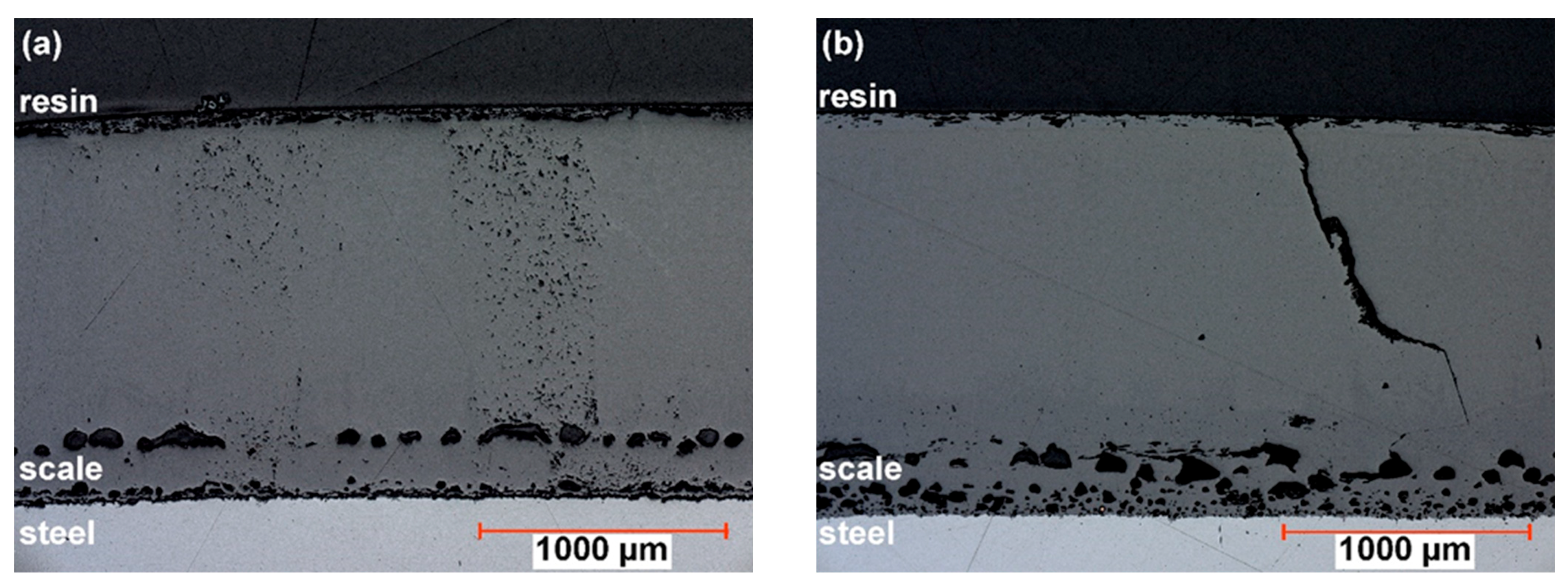 Metals 13 00892 g012