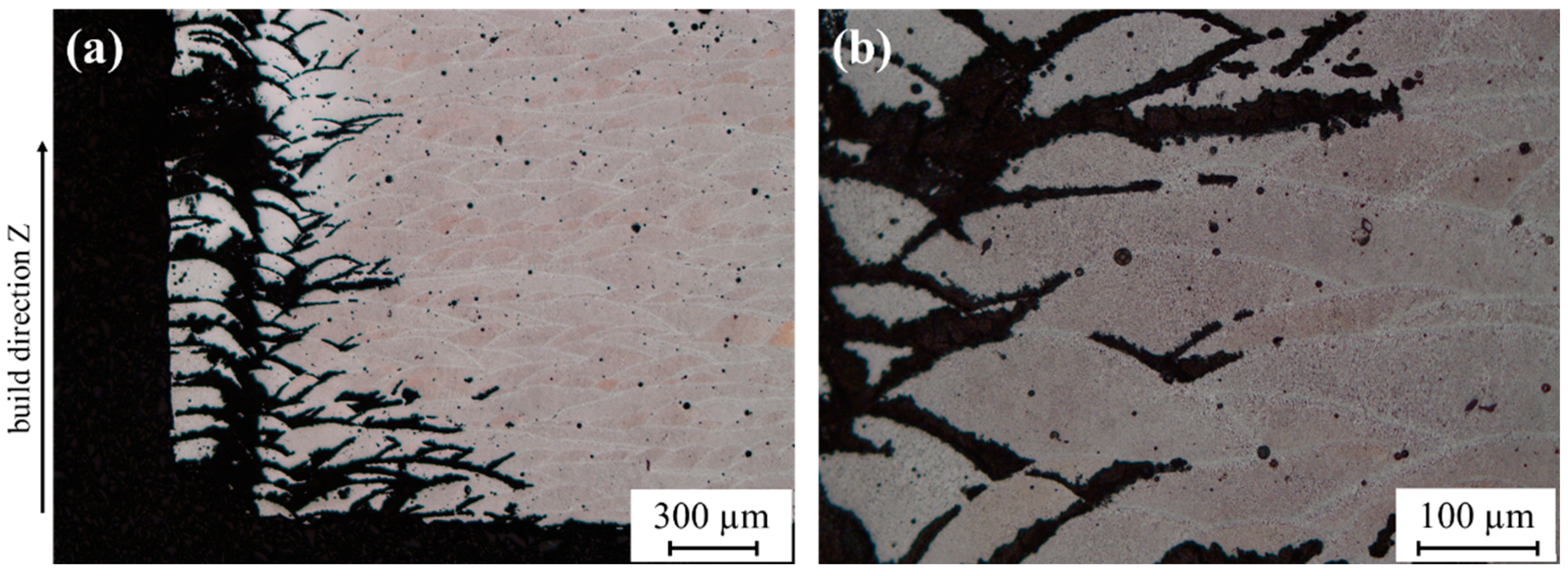 Metals 13 00913 g008