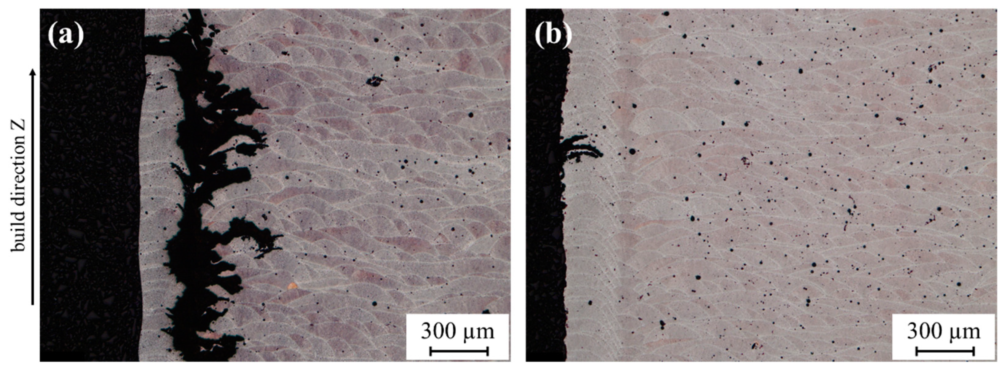 Metals 13 00913 g013