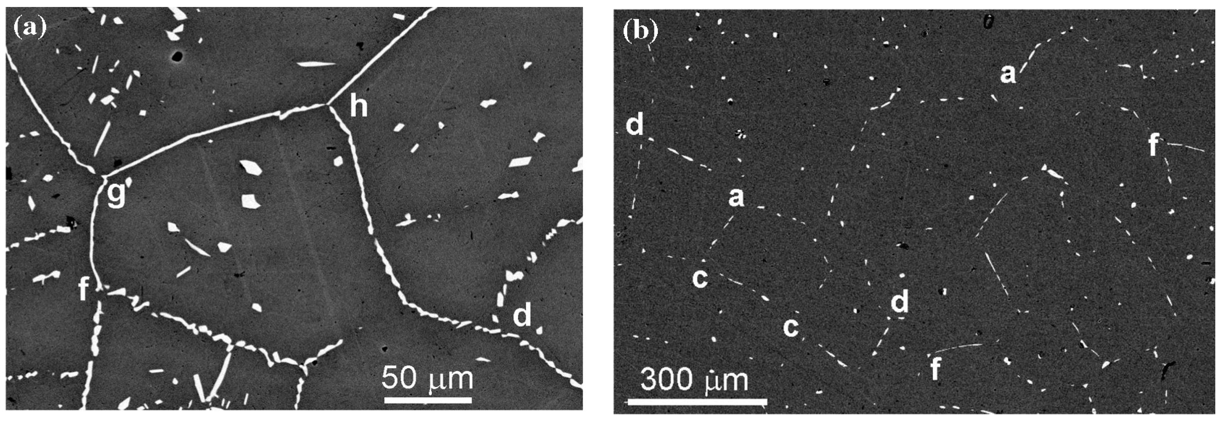 Metals | Free Full-Text | Grain Boundary Wetting by the Second 