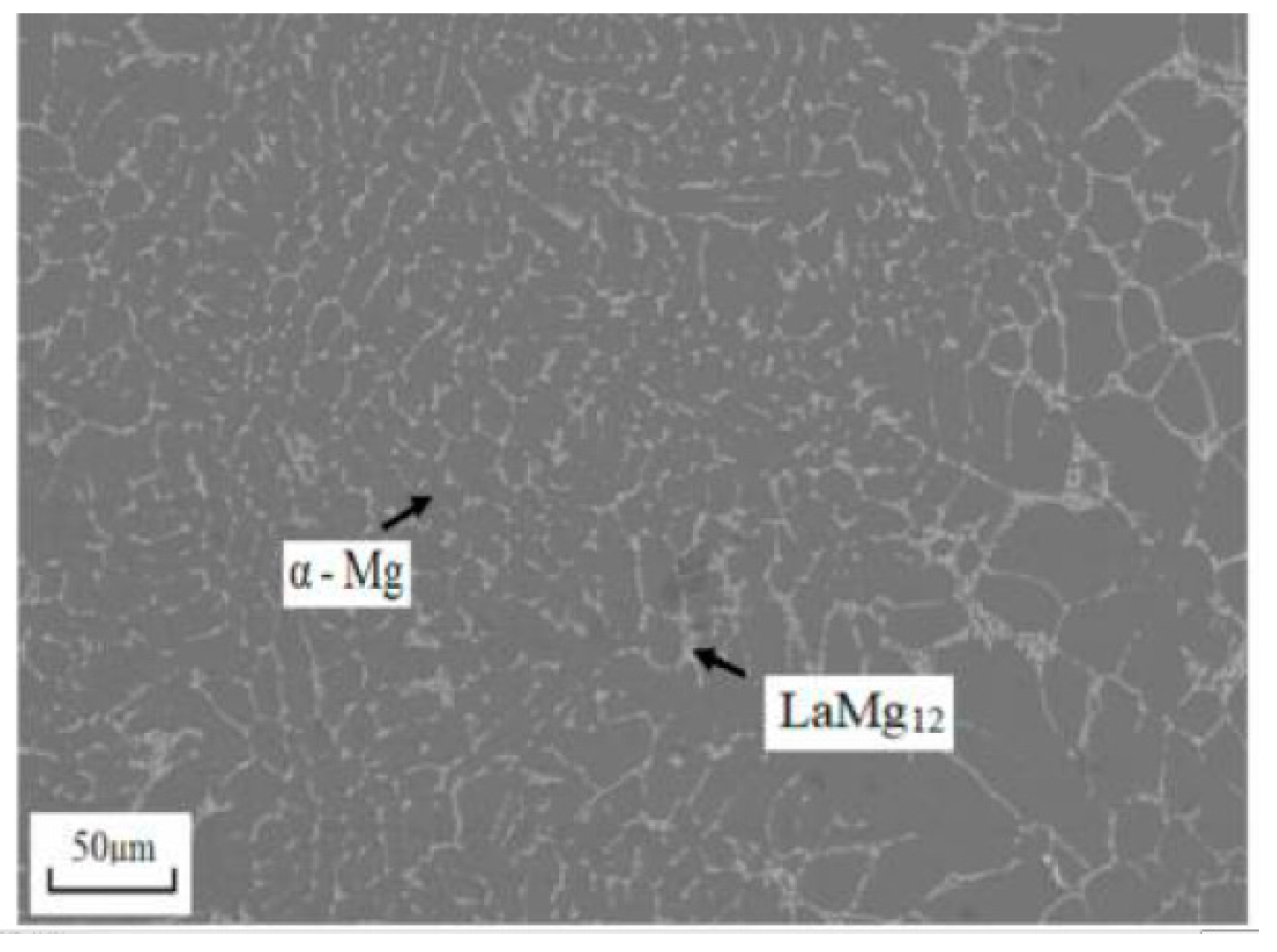 Metals | Free Full-Text | Grain Boundary Wetting by the Second 