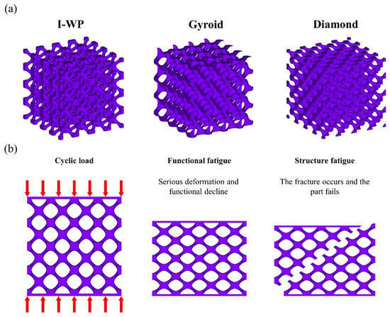 New Insights into the Mechanical Properties, Functional