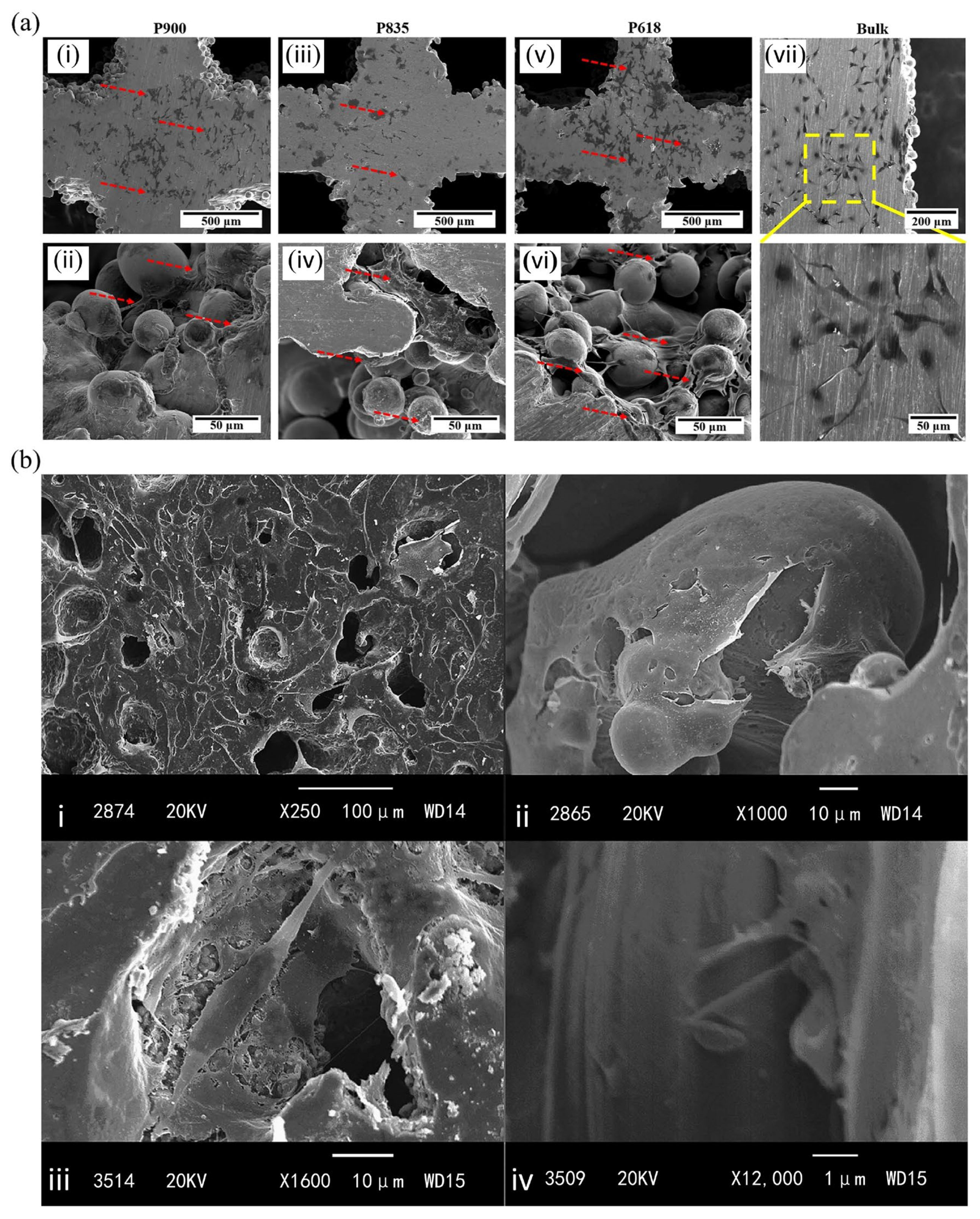 Metals 13 00931 g009