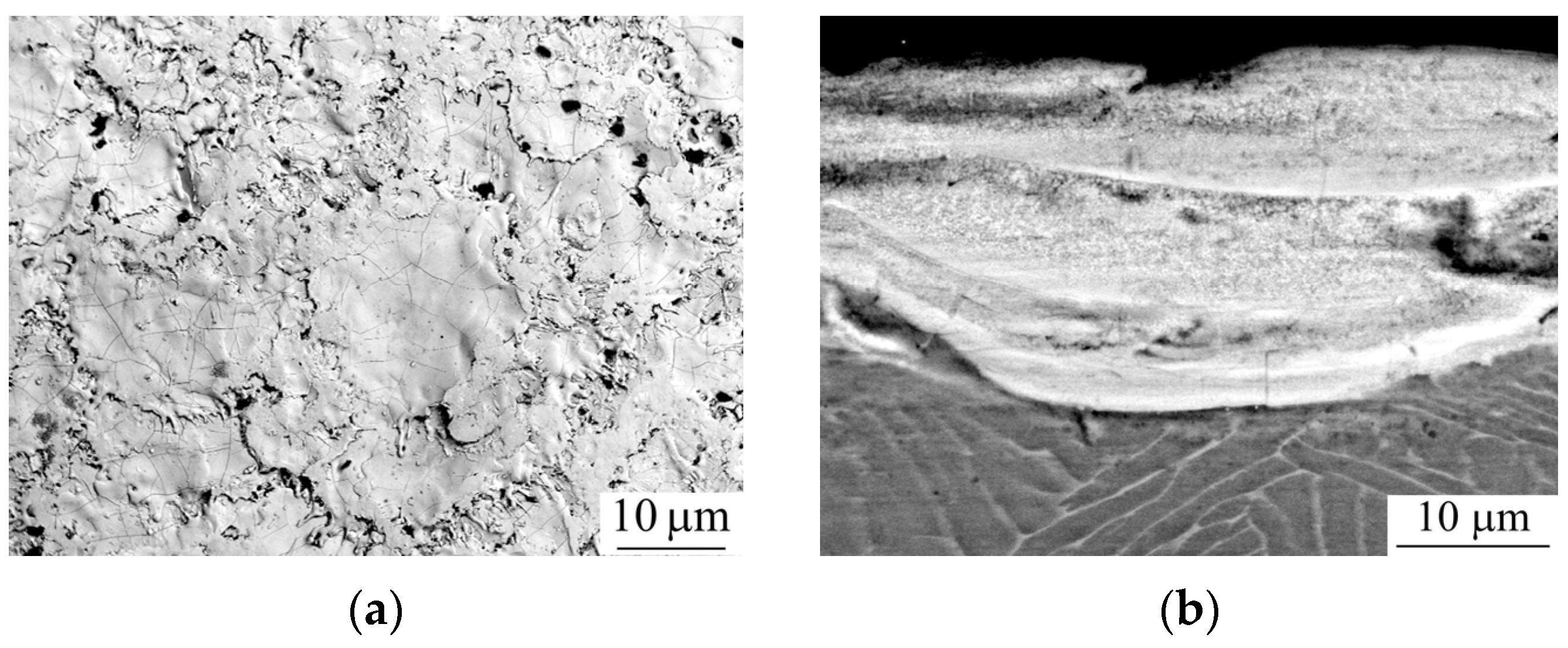 Metals 13 00932 g007