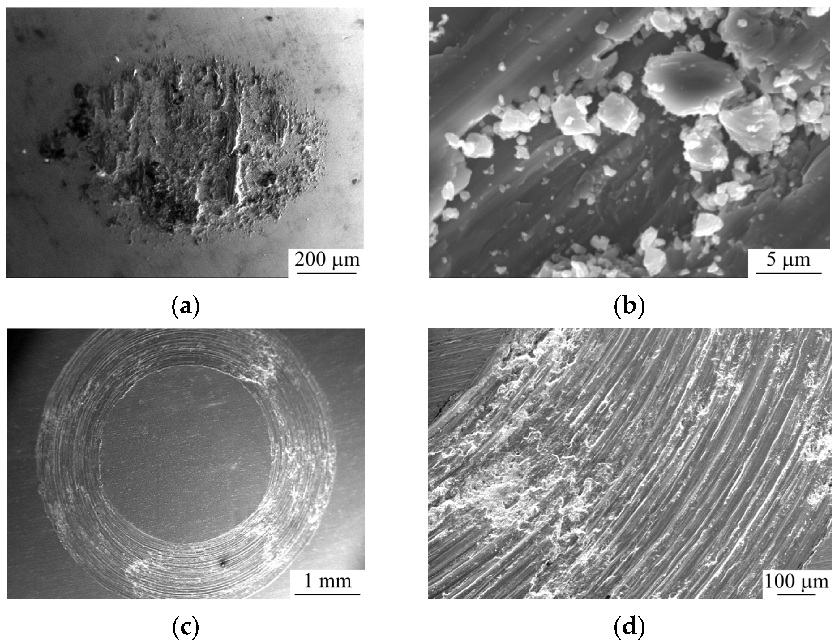 Metals 13 00932 g012