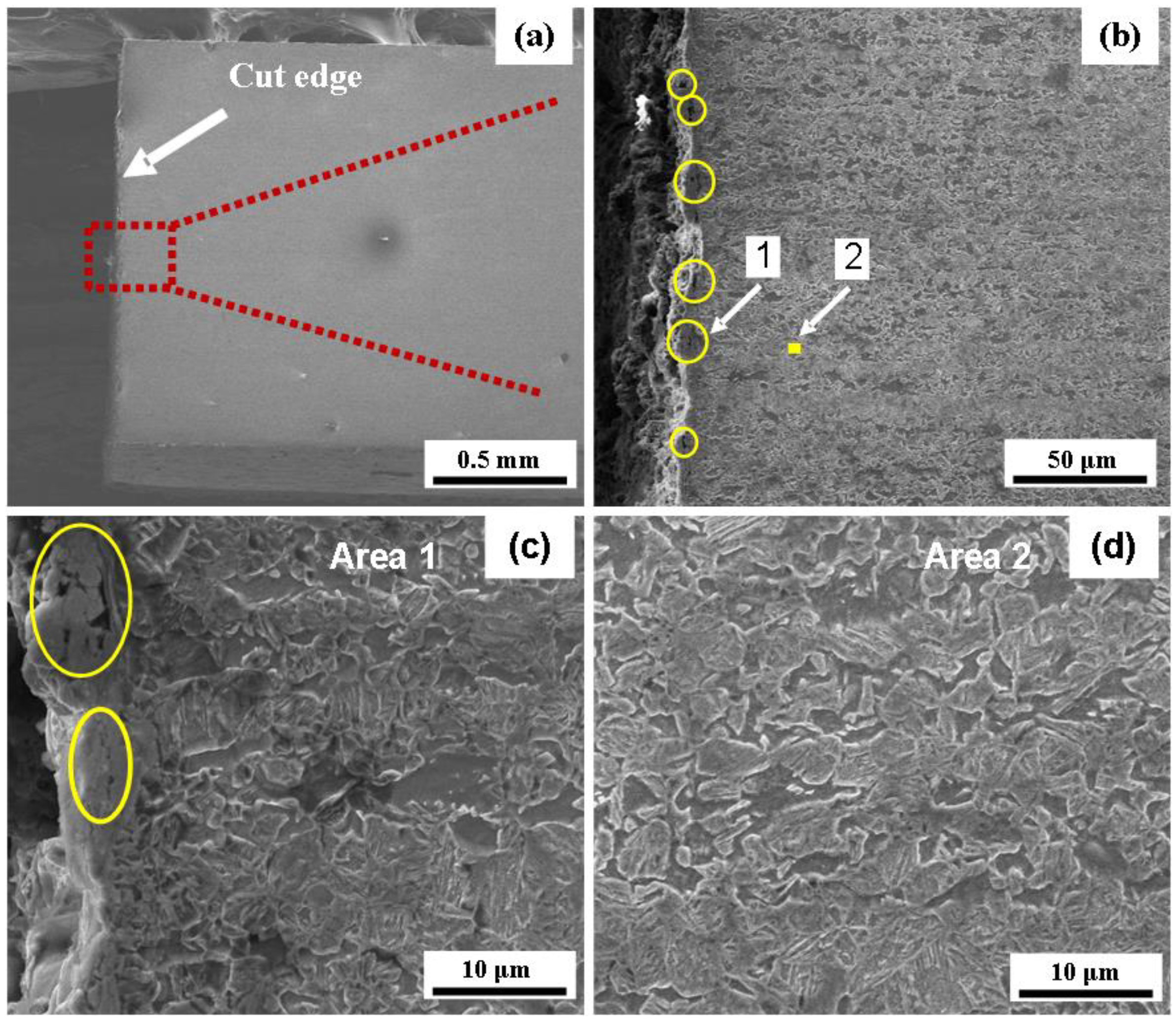 Metals 13 00948 g012