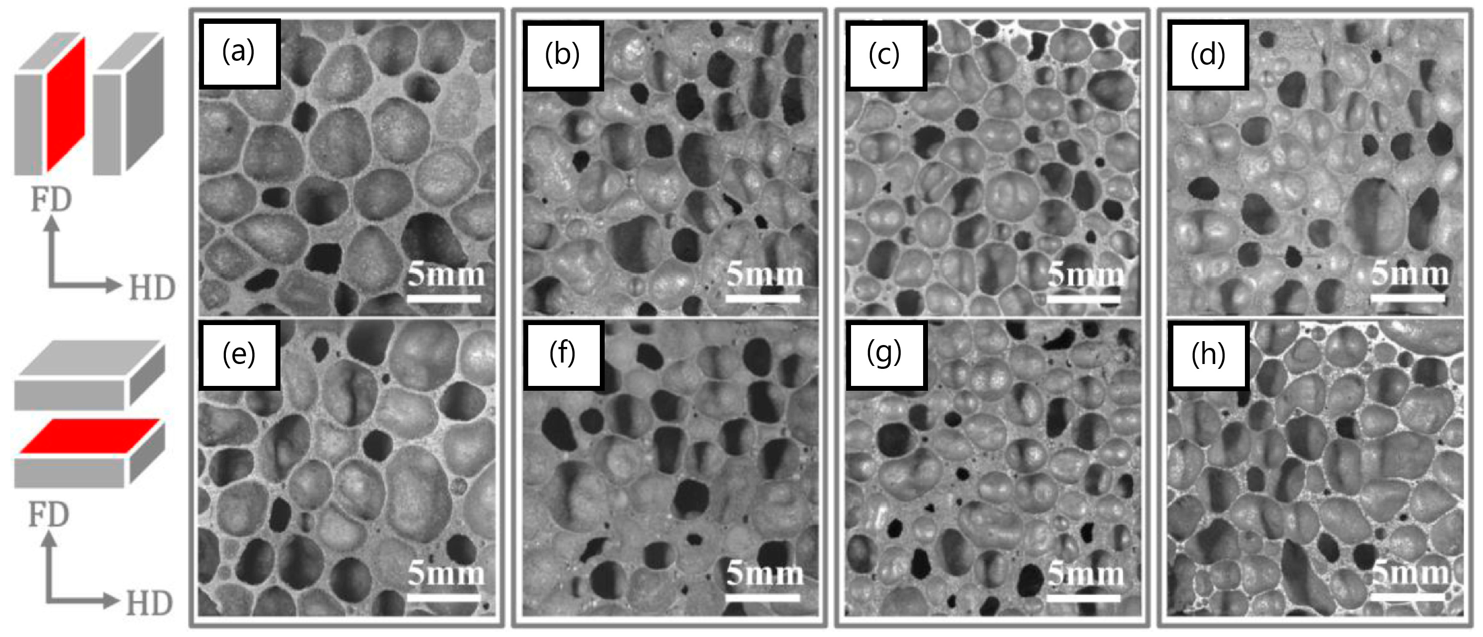 Metals 13 00959 g010