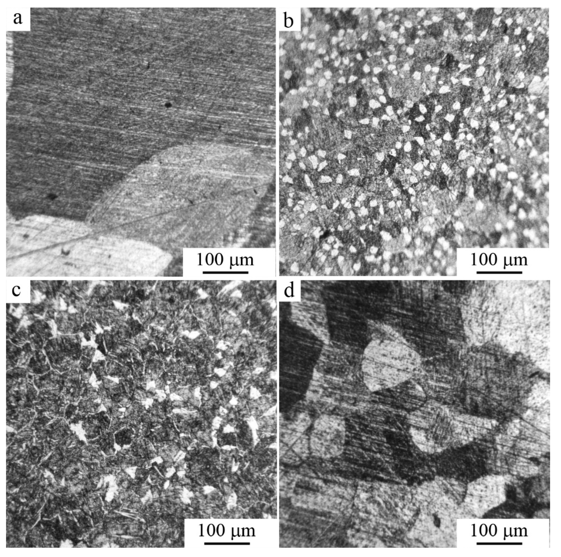 Metals 13 00967 g007