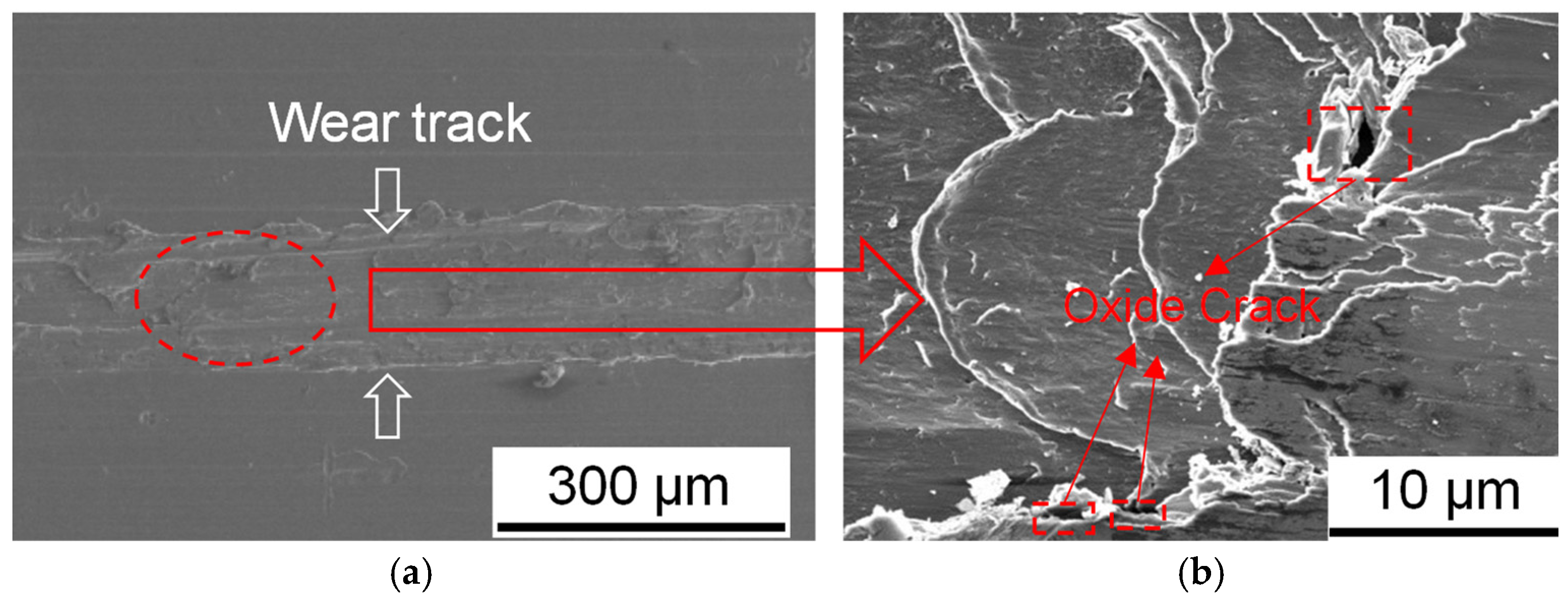 Metals 13 00972 g007 Metals 13 00972 g007